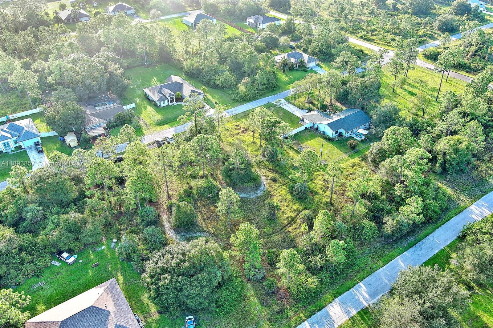 1407 Mckinley Ave Lehigh Acres, FL 33972