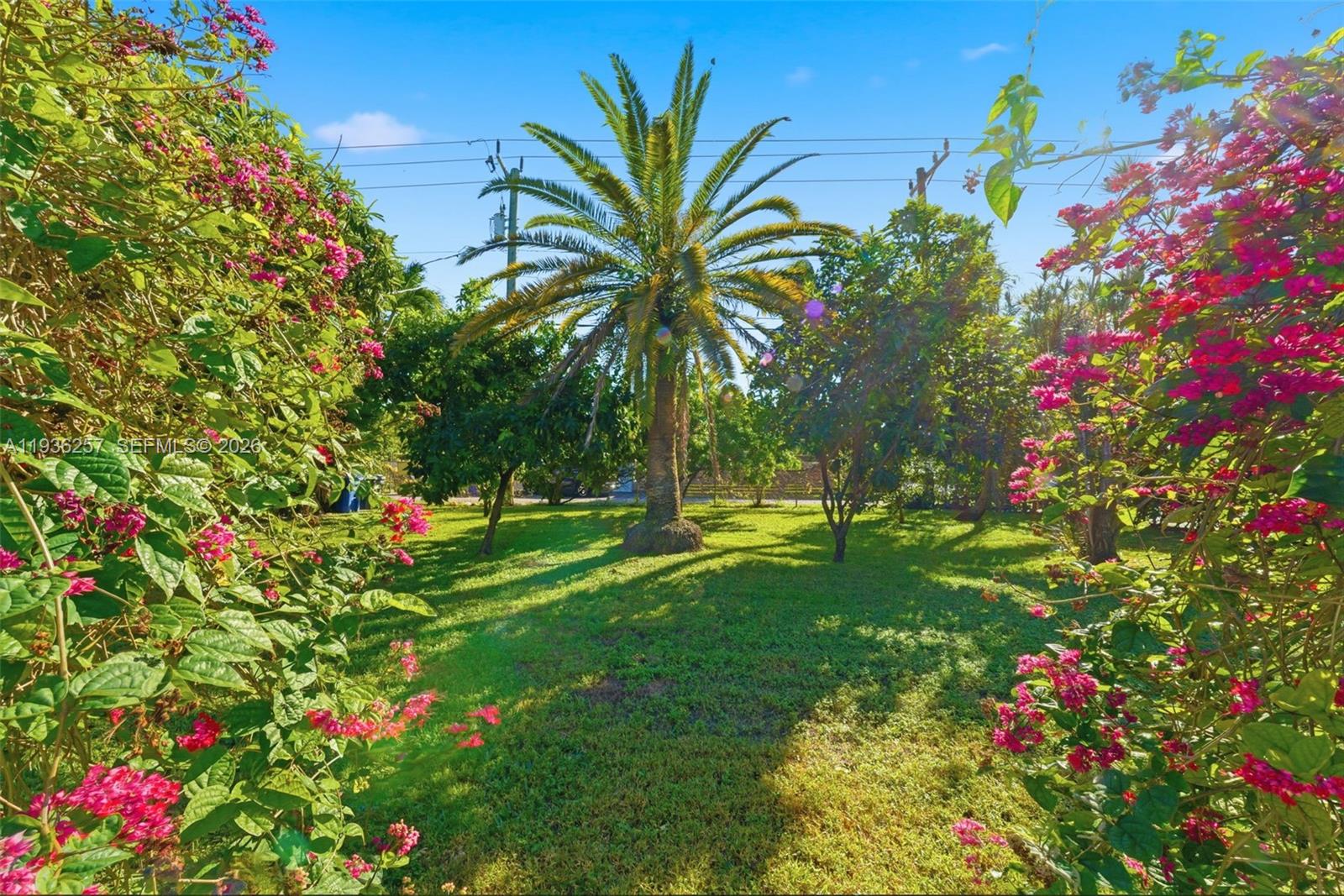 1538 Funston St Hollywood, FL 33020