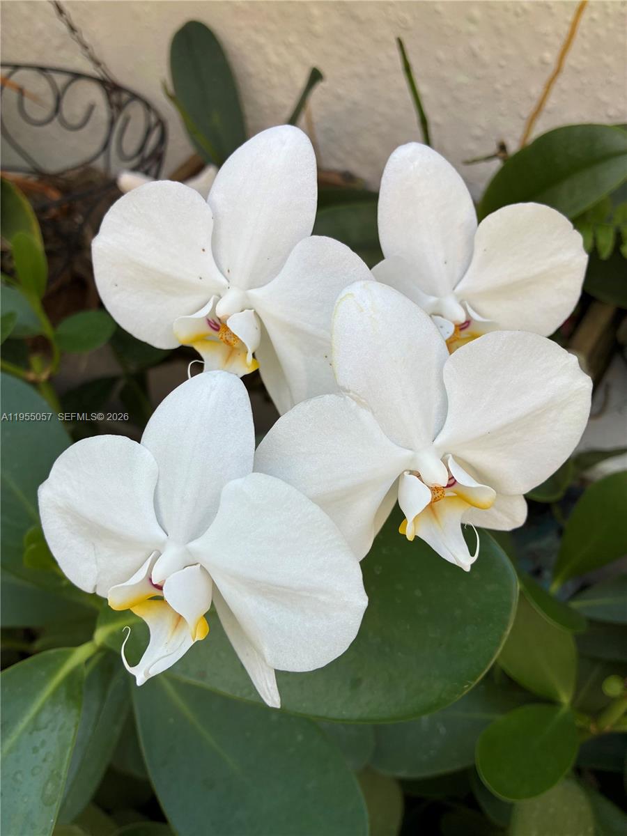 8144 SW 86th Ter Miami, FL 33143