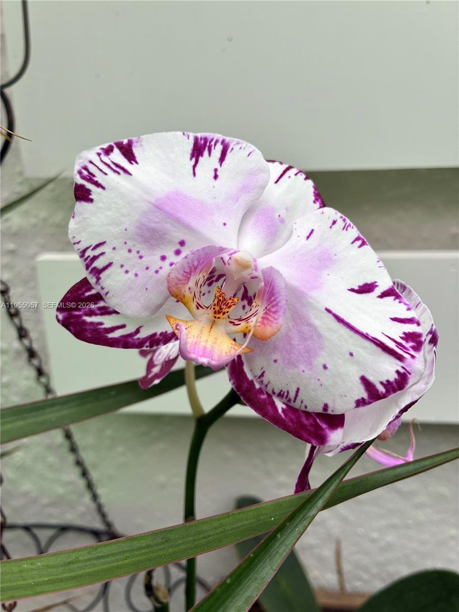 8144 SW 86th Ter Miami, FL 33143