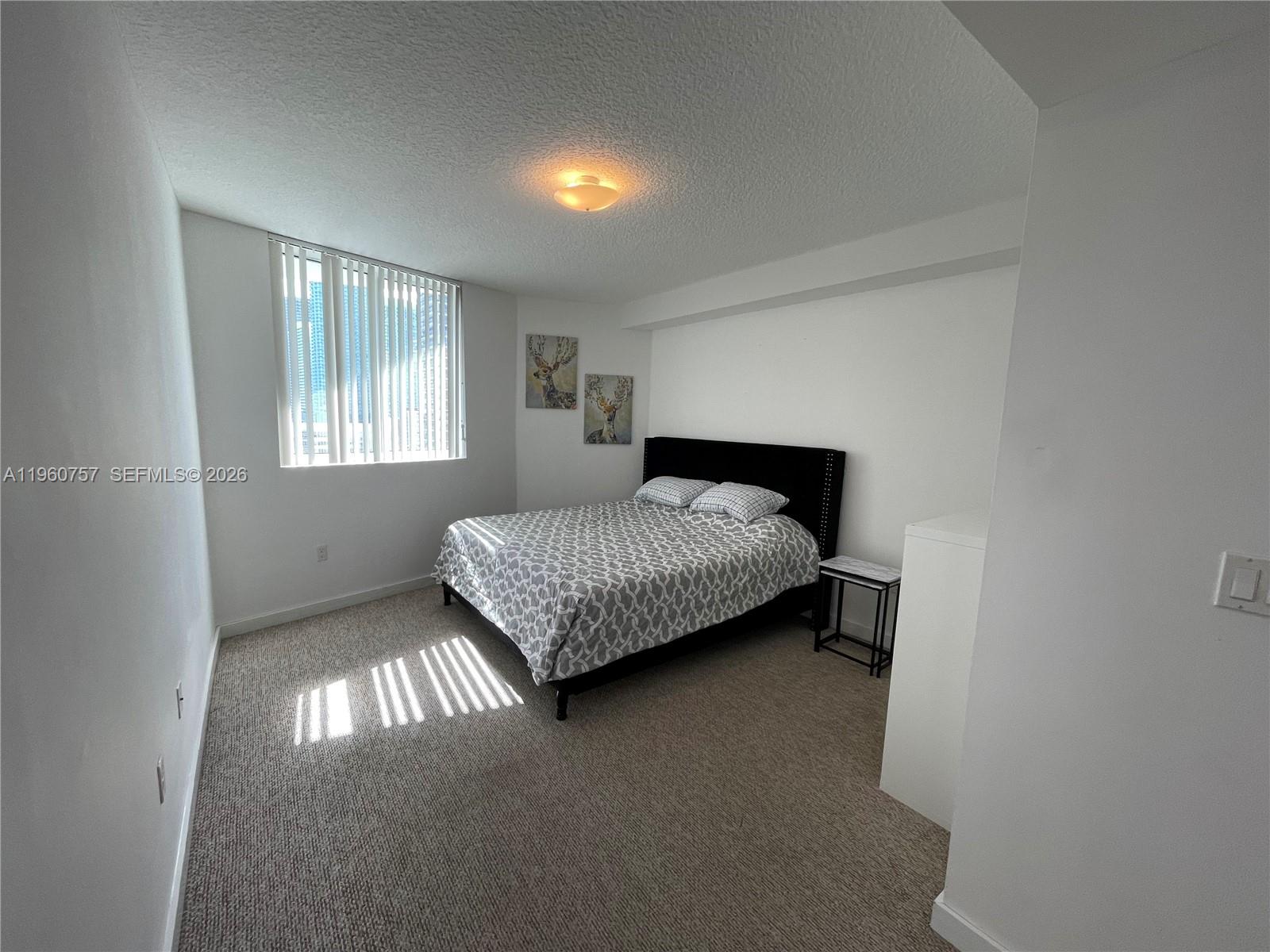 image 23 Biscayne Bay13