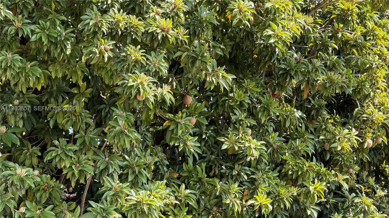 250 E 60th St Hialeah, FL 33013