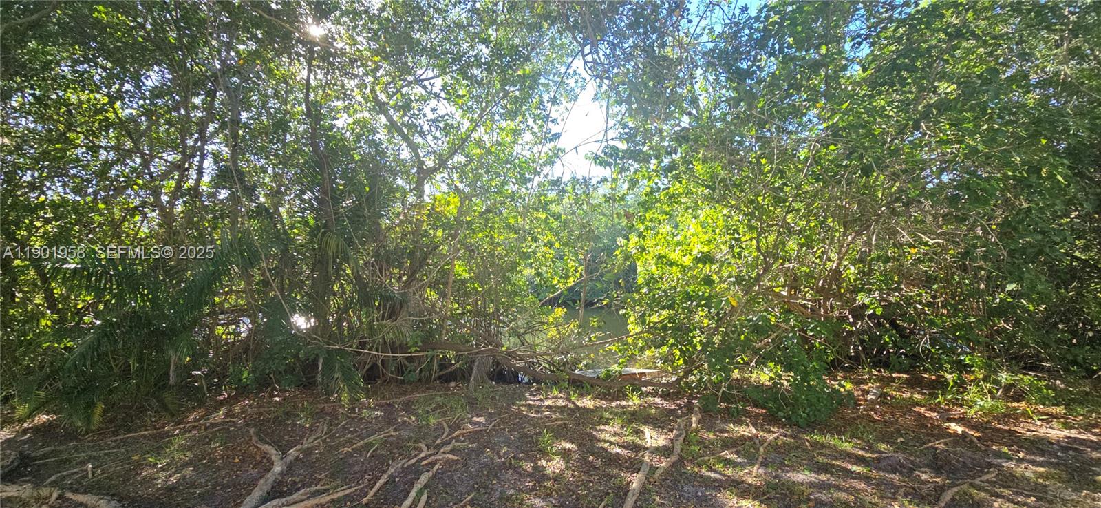 17890 W Dixie Hwy #515 North Miami Beach, FL 33160