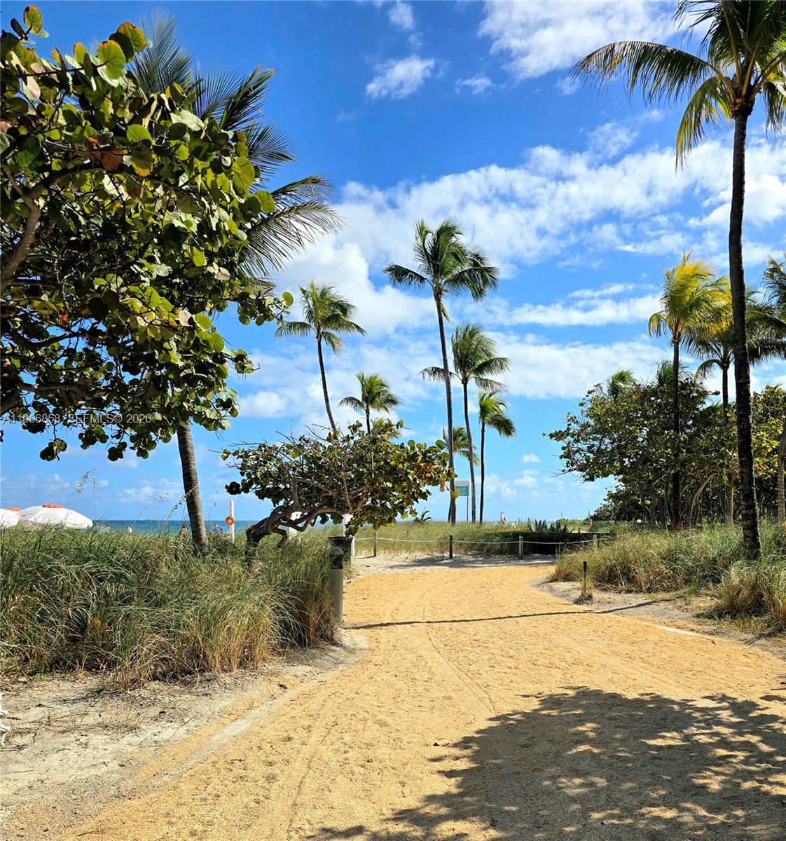 image Tiffany of Bal Harbour15