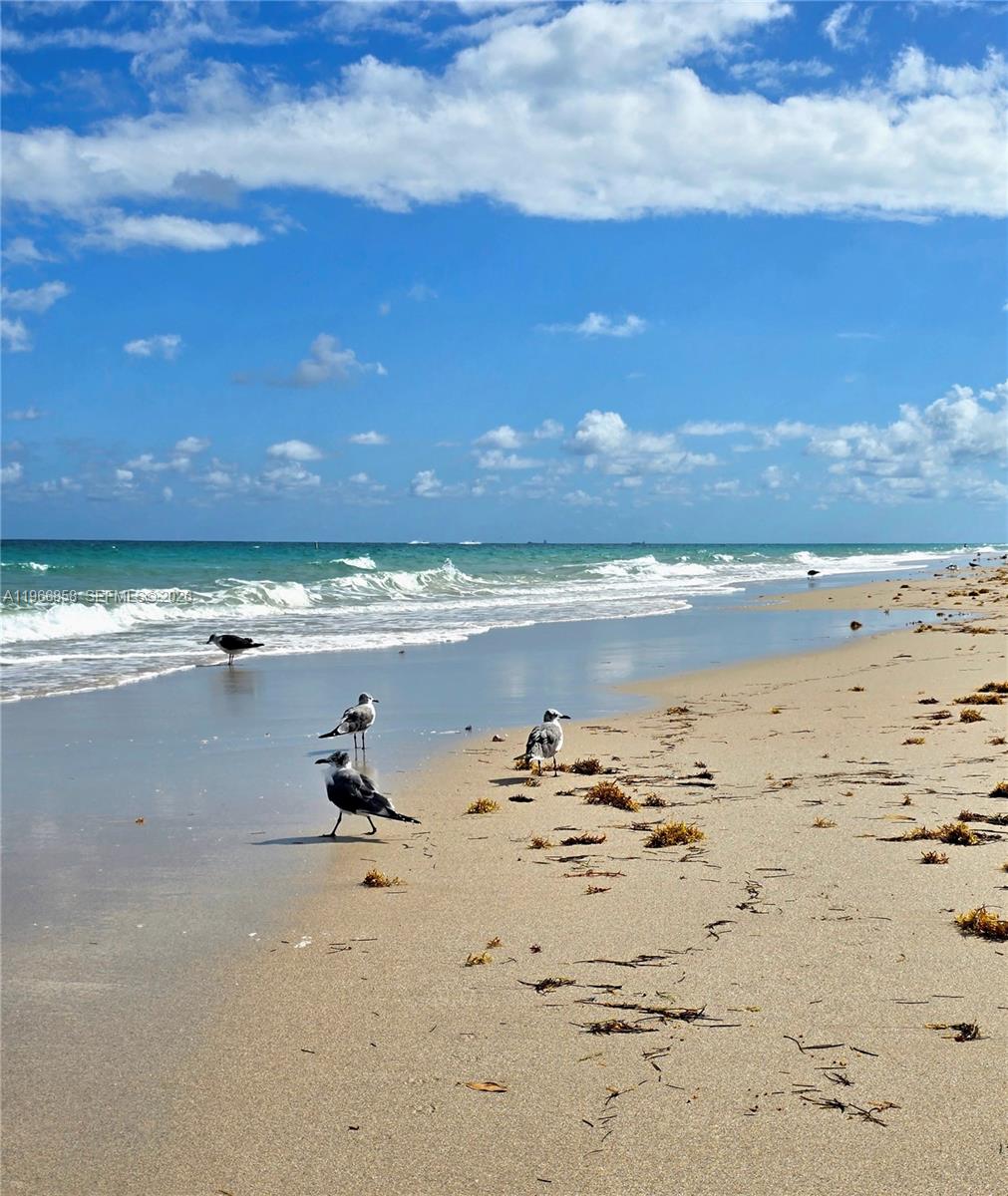 image Tiffany of Bal Harbour16