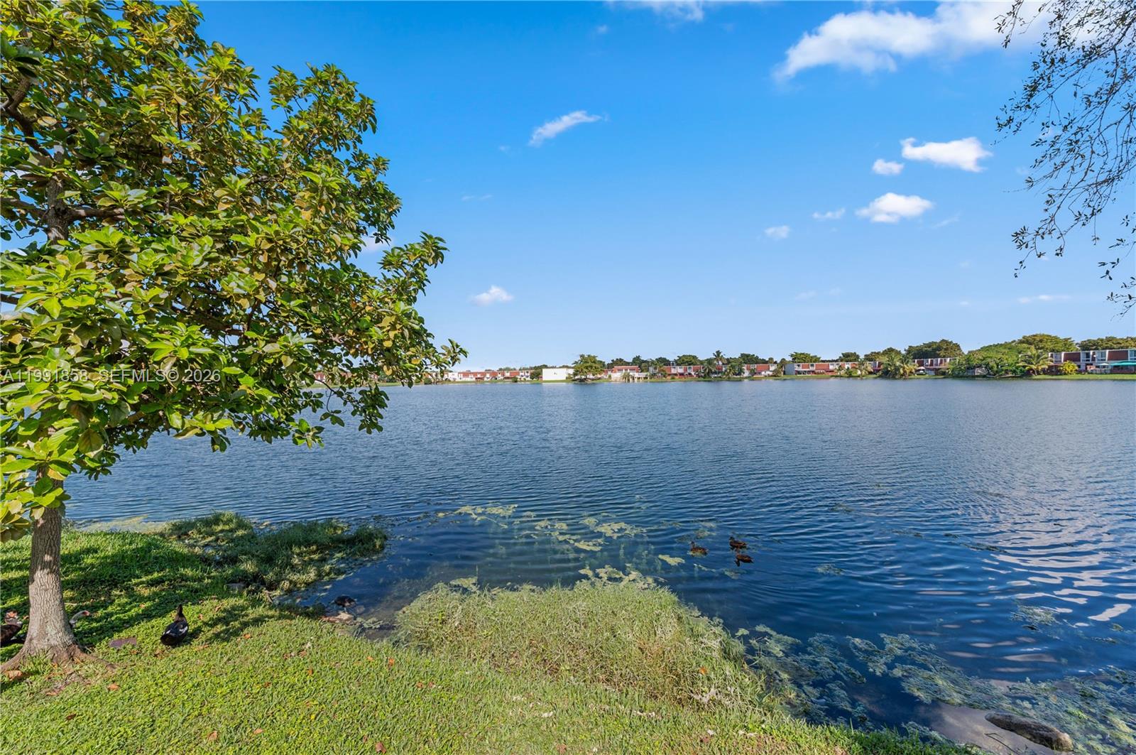 365 NW 109th Ave #701 Miami, FL 33172