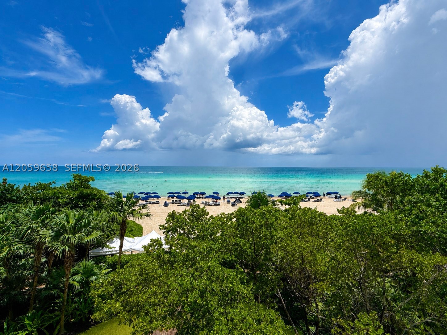 image Jade Ocean29