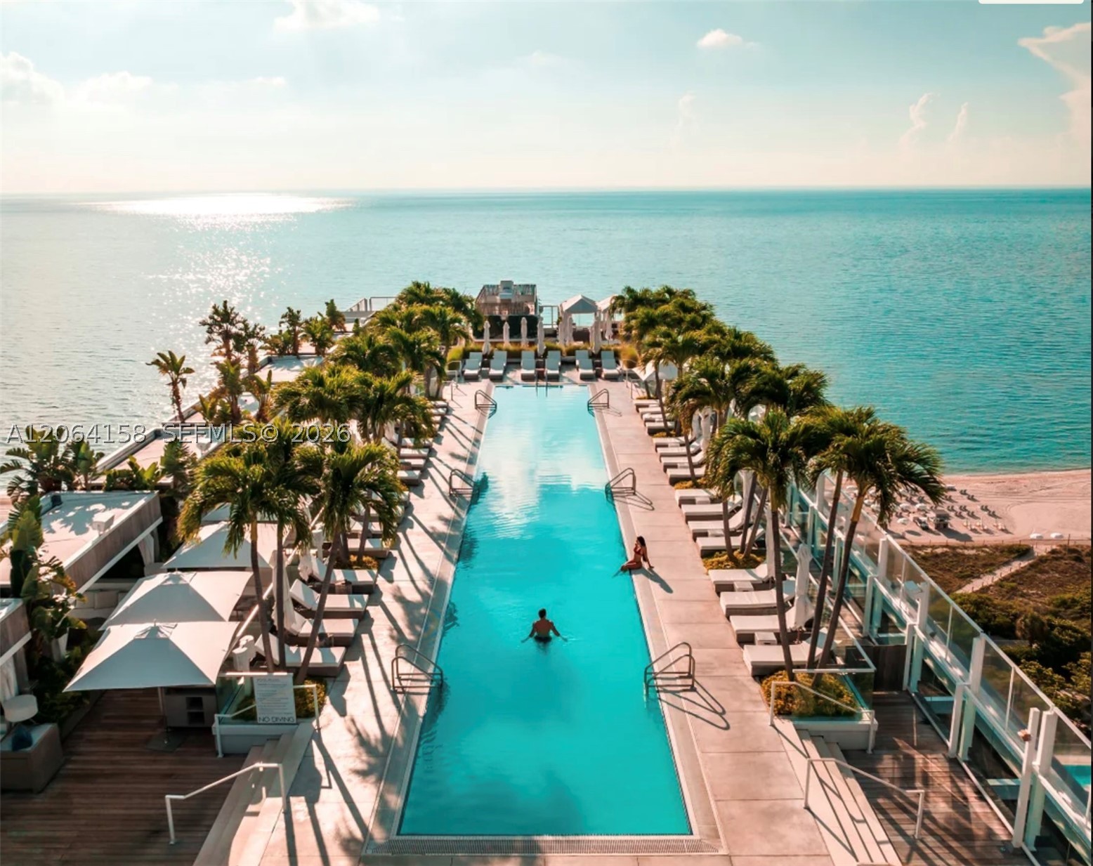 image Roney Palace12