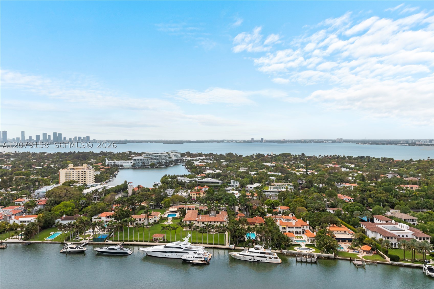 image Blue Diamond23