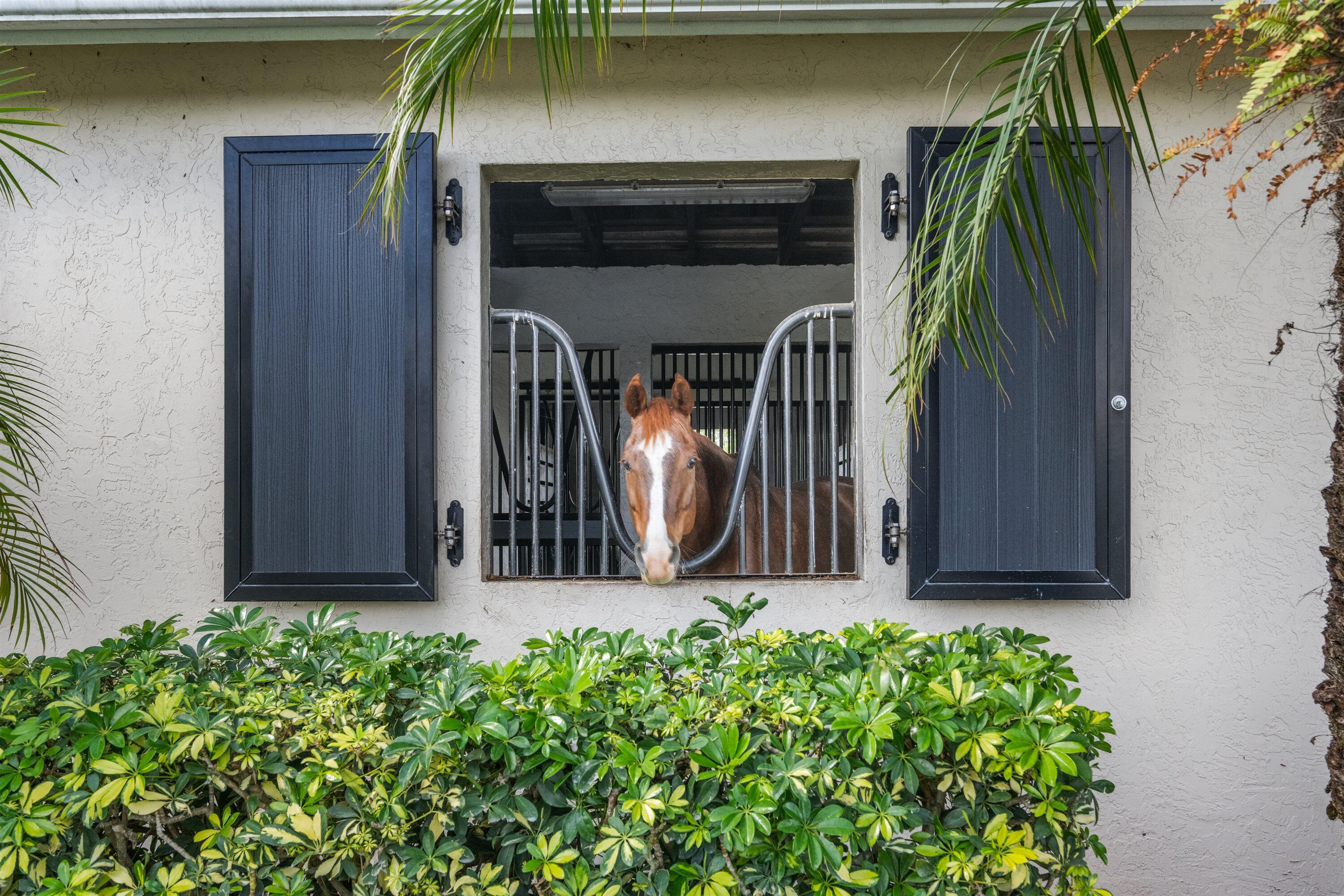 15380 46th Wellington, FL 33414