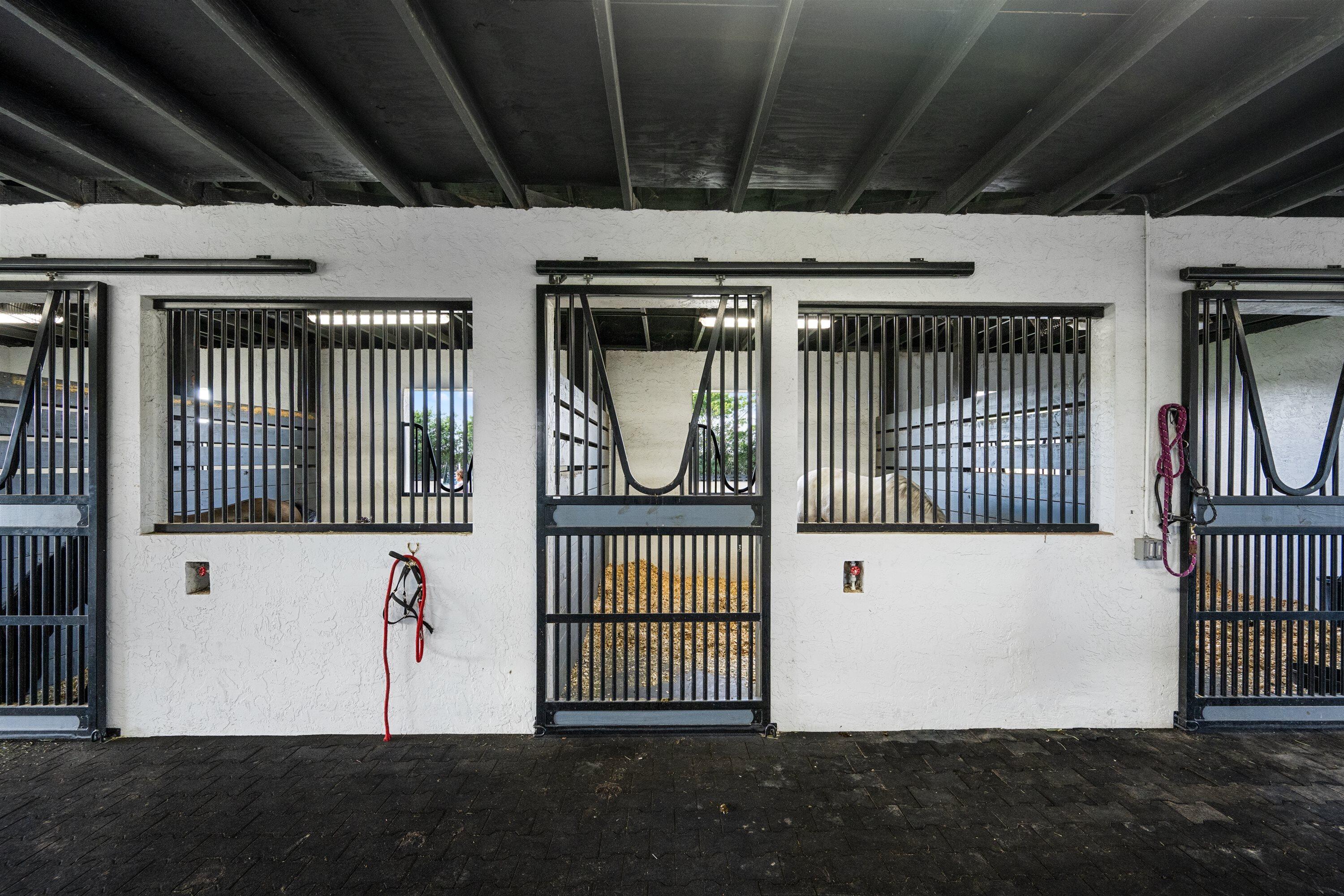 15380 46th Wellington, FL 33414