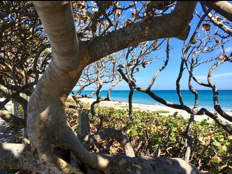 601 Seafarer Cir #504 Jupiter, FL 33477