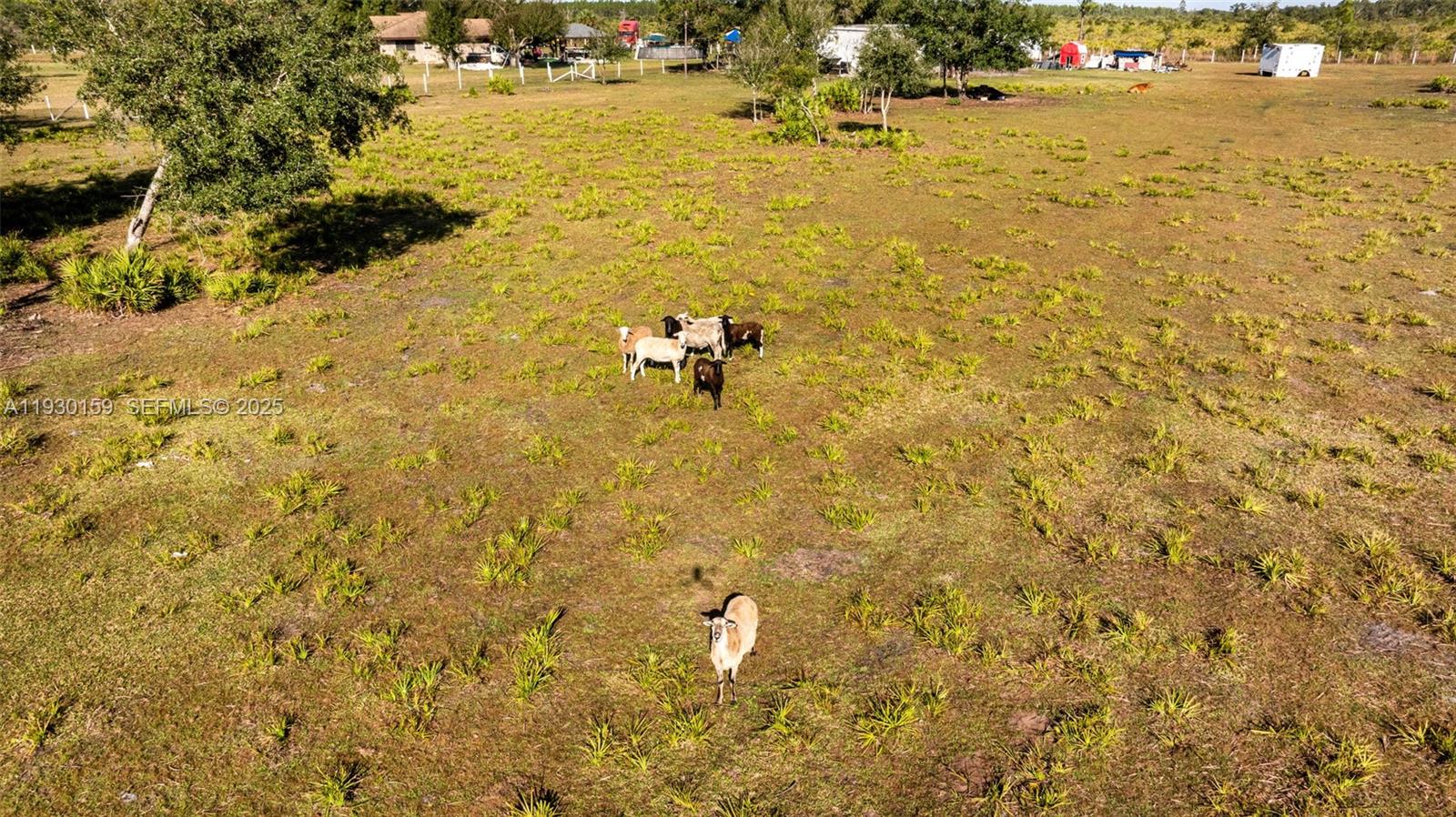 1472 N Charolais Rd Other, FL 33935