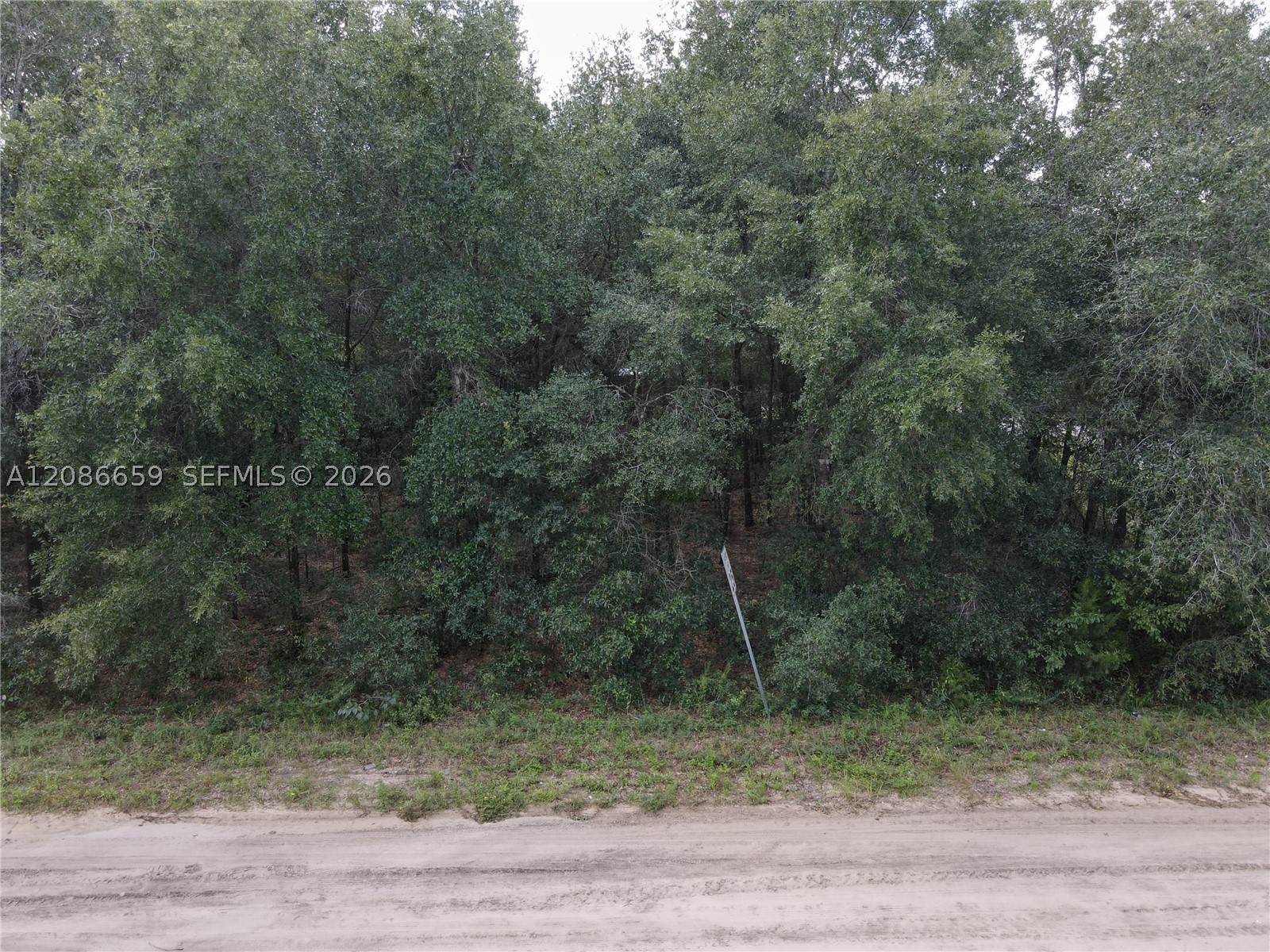 416 Trenton St Other, FL 32148