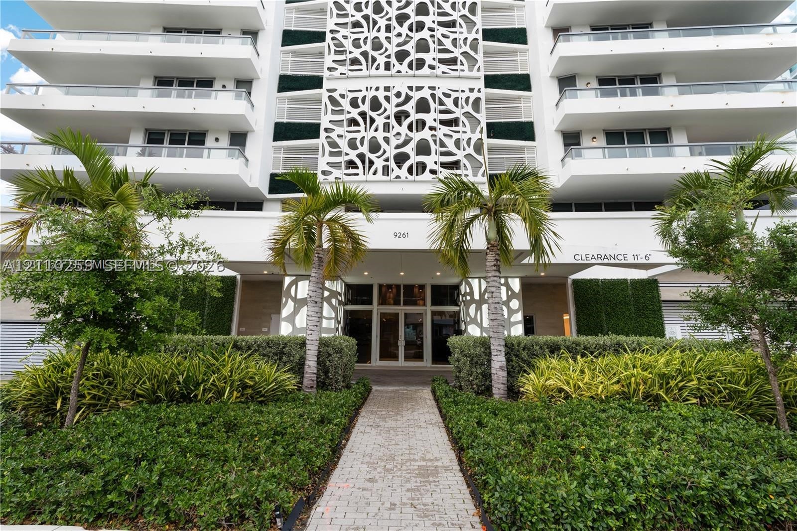 image The Ivory17