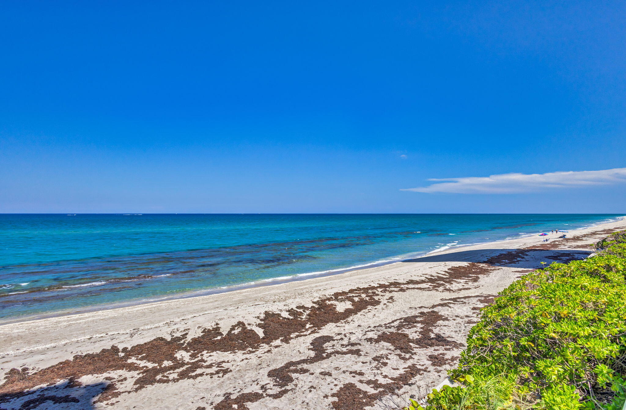 5440 N Ocean #805 Singer Island, FL 33404