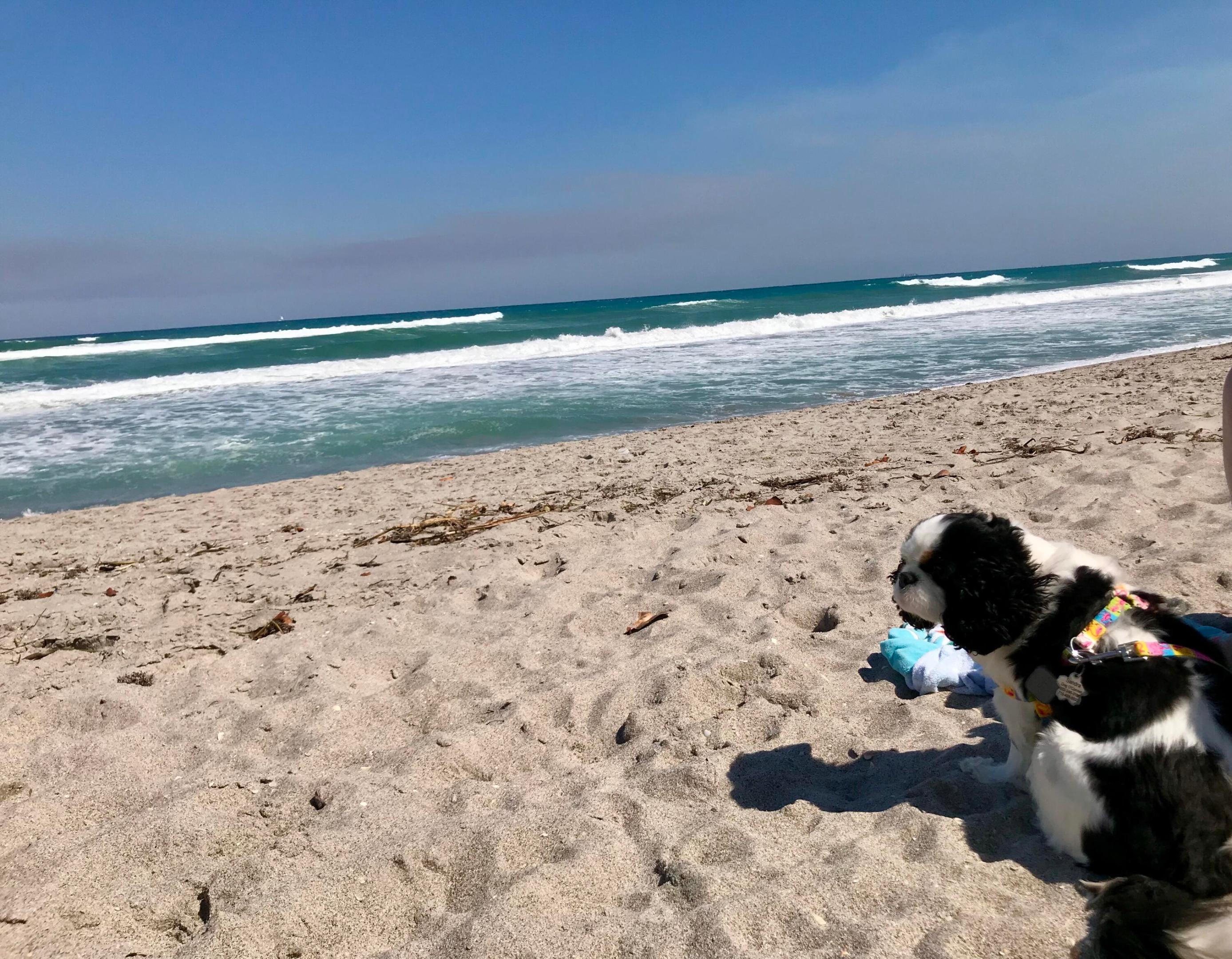 1605 S Us Hwy 1 #204 M3 Jupiter, FL 33477