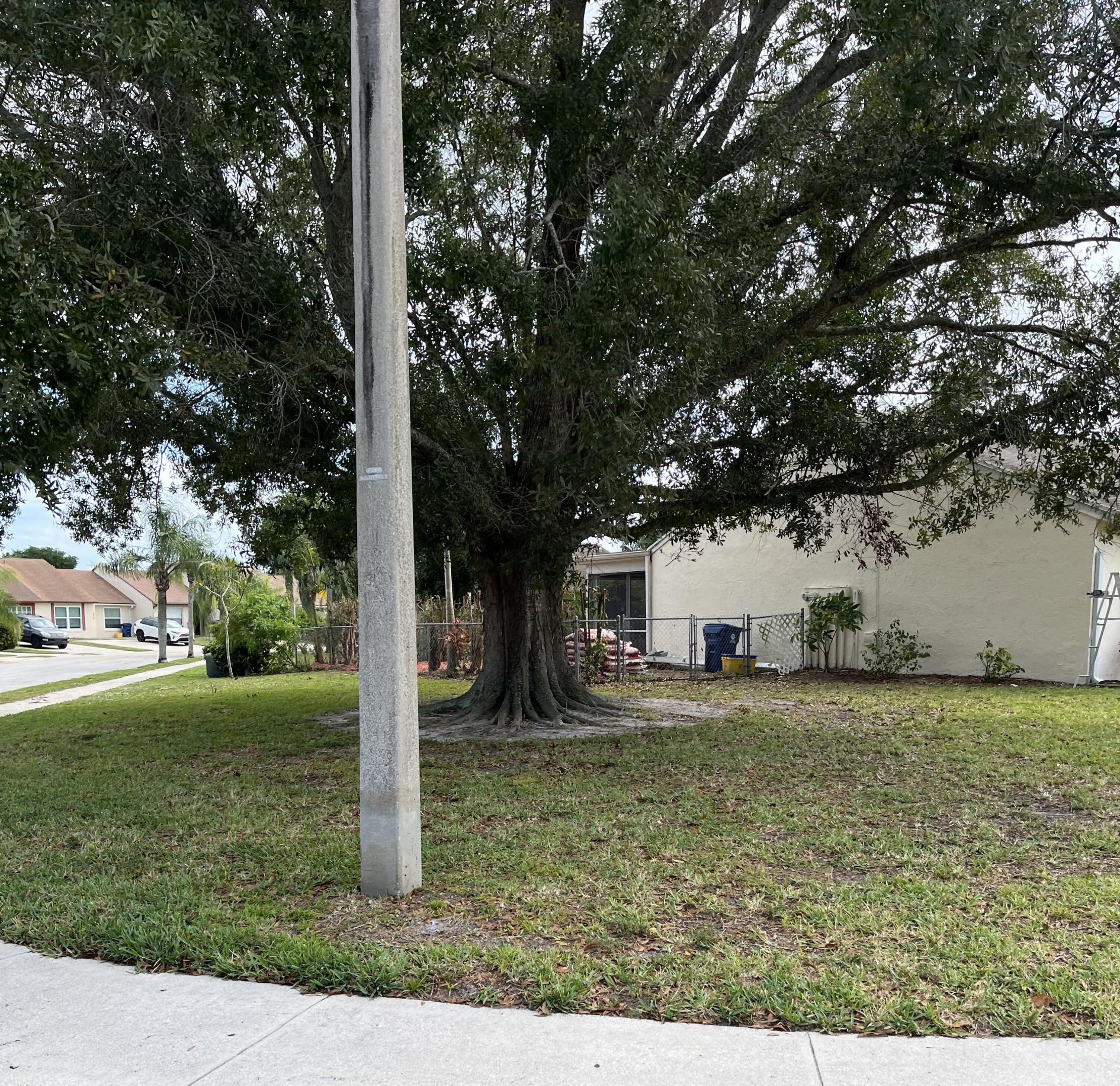 251 Palmetto Jupiter, FL 33458