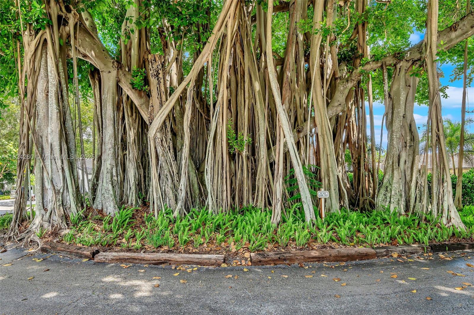 5811 SW 33rd Ter Hollywood, FL 33312