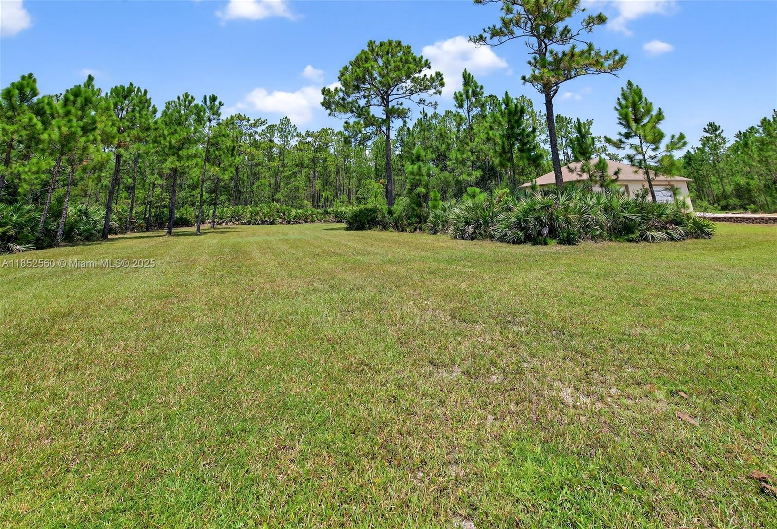 147 Ashby Cv Ln New Smyrna Beach, FL 32168