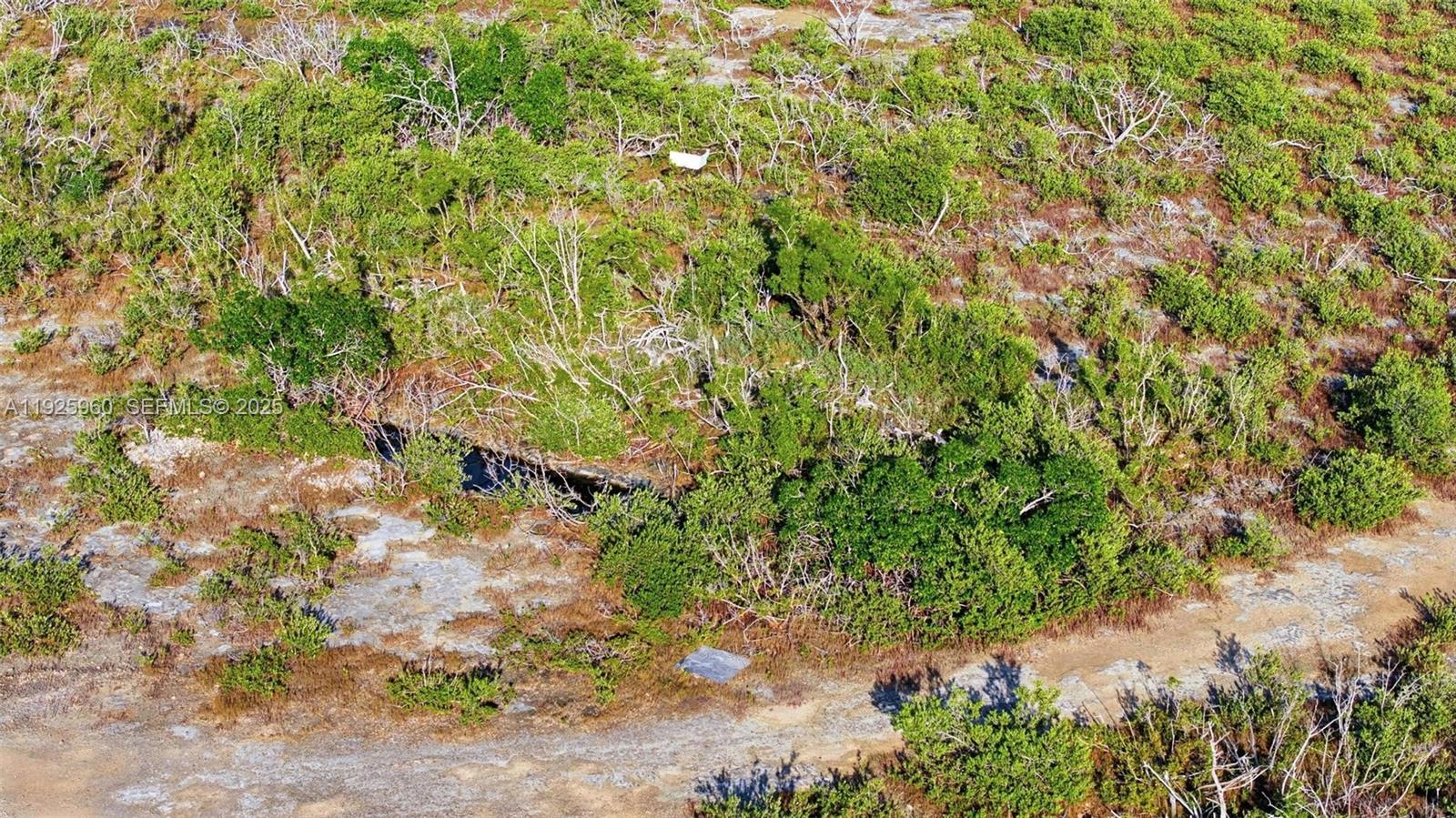 Niles Rd Key Colony, FL 33042