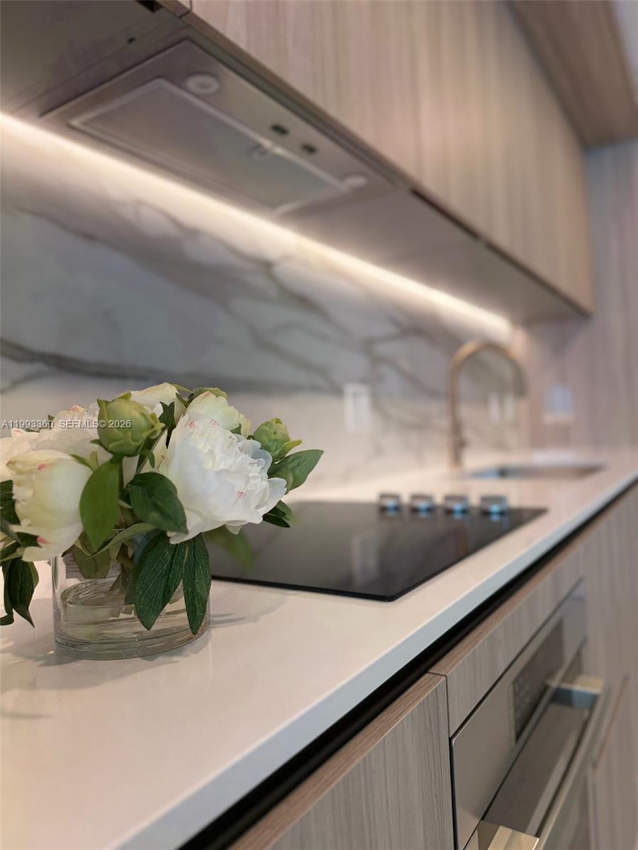 image Viceroy Brickell Residences4