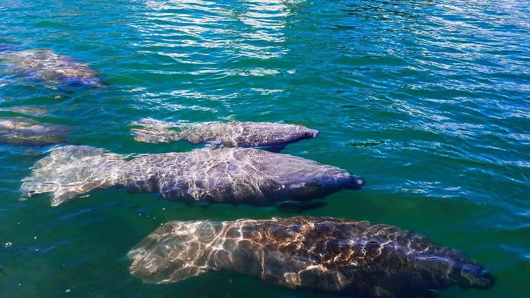 1401 N Riverside Dr #705,Pompano Beach, FL 33062