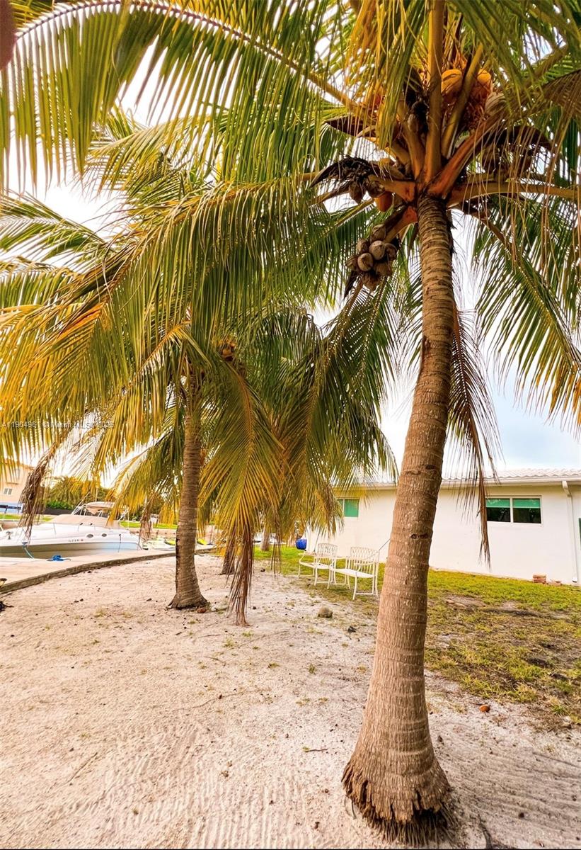 12388 N Bayshore Dr #NA North Miami, FL 33181