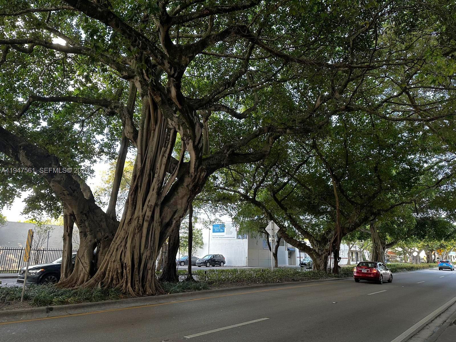 3000 Coral Way #421 Miami, FL 33145