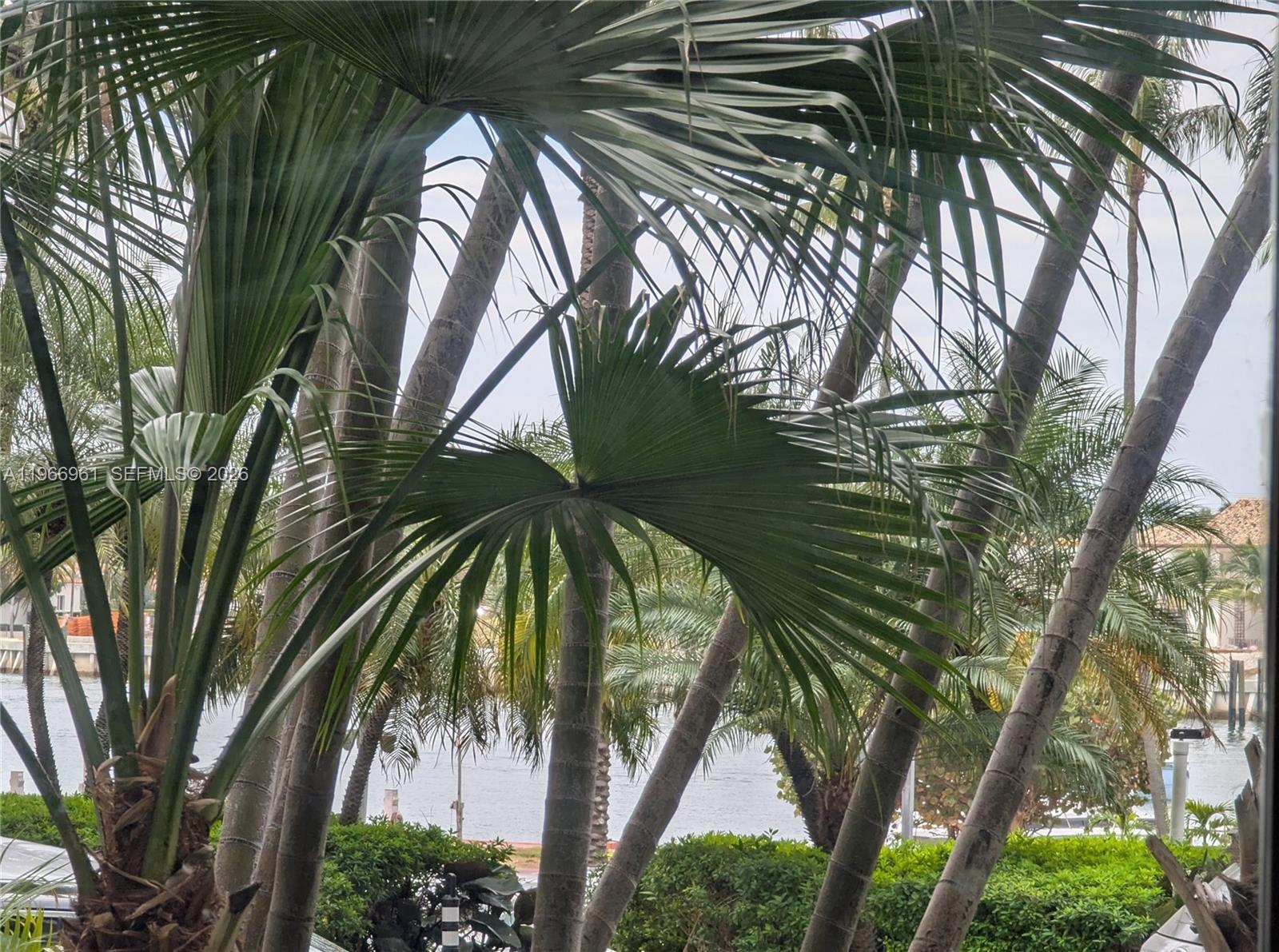 5161 Collins Ave #208 Miami Beach, FL 33140