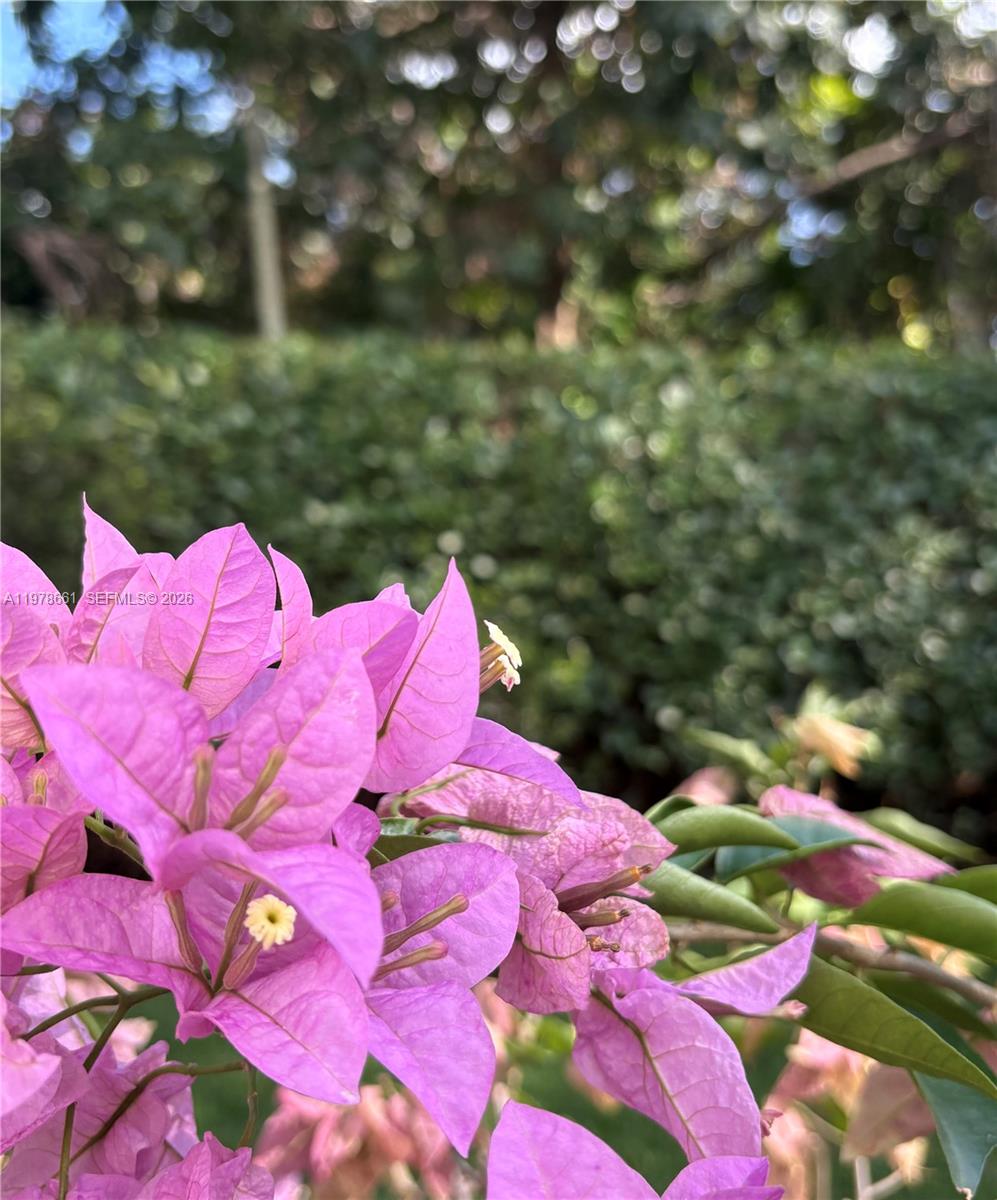 710 NE 72nd Ter Miami, FL 33138