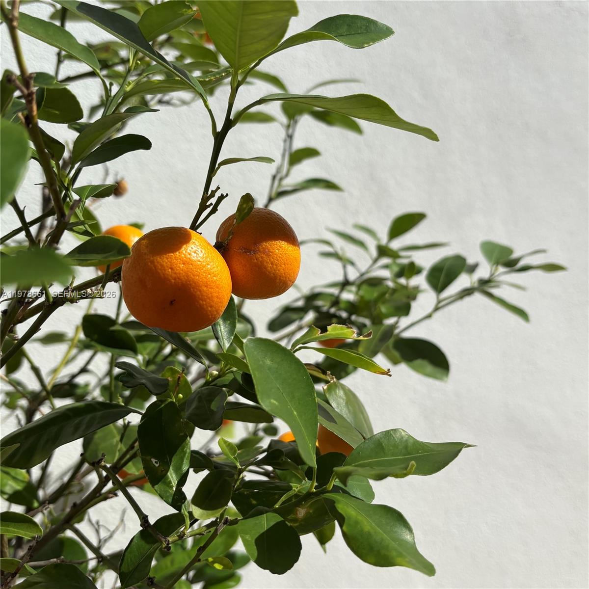 710 NE 72nd Ter Miami, FL 33138