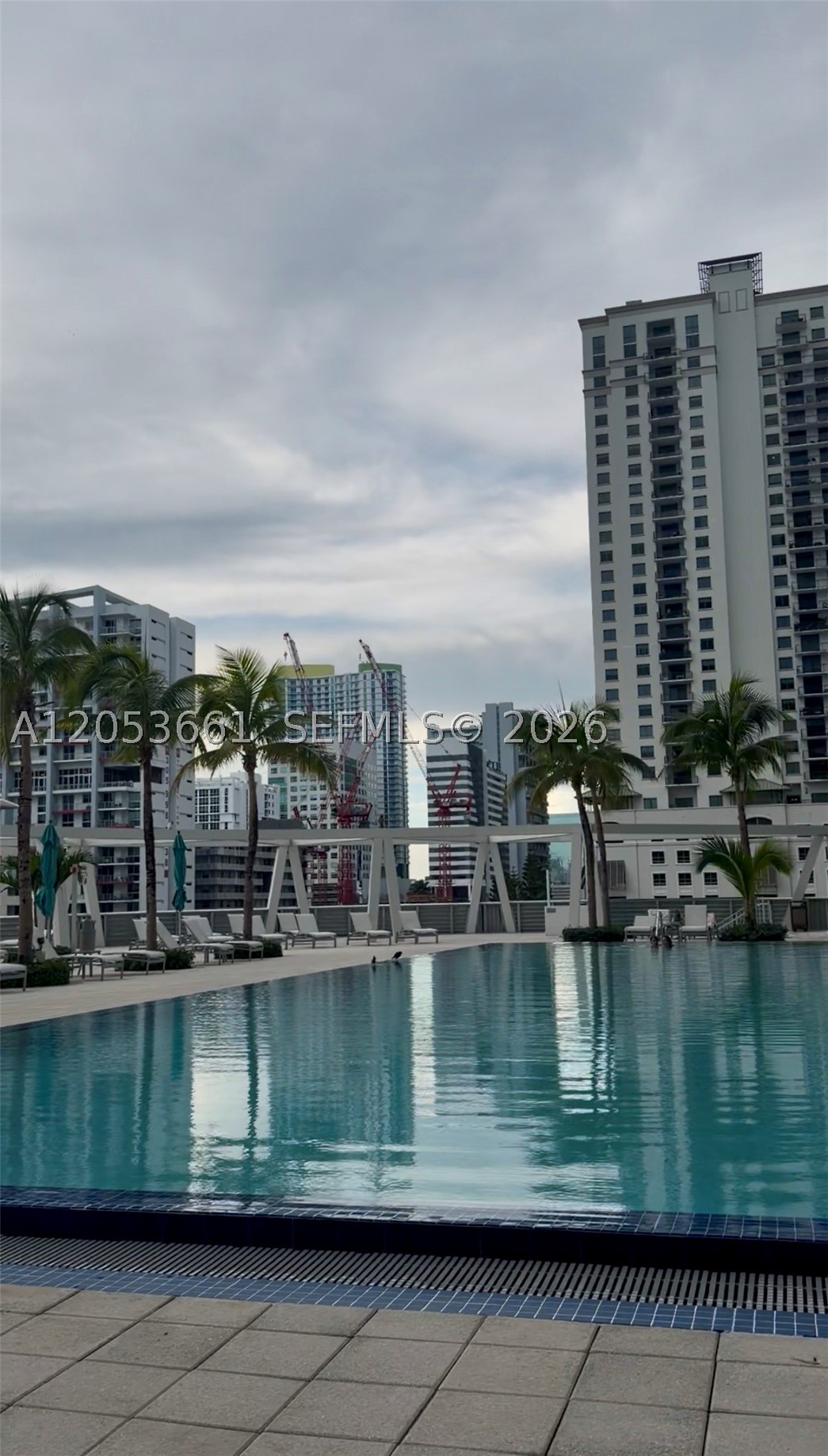 image Axis on Brickell South14