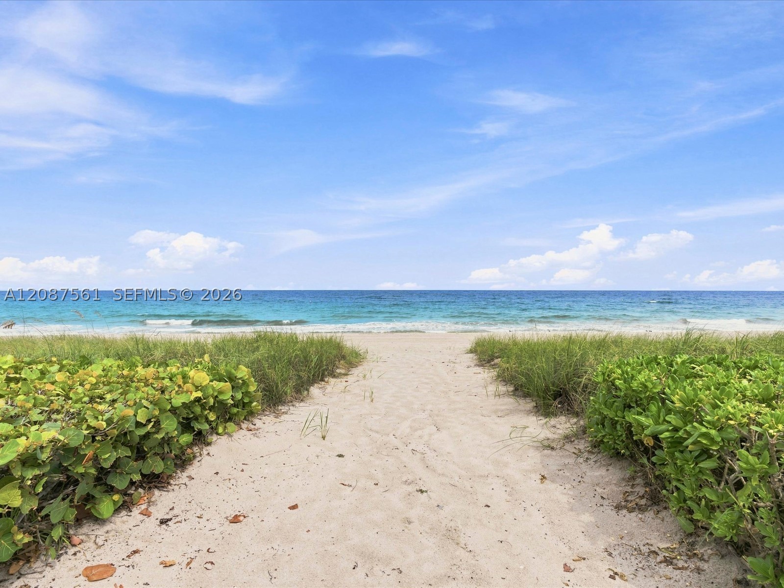 3036 N Atlantic Blvd Fort Lauderdale, FL 33308