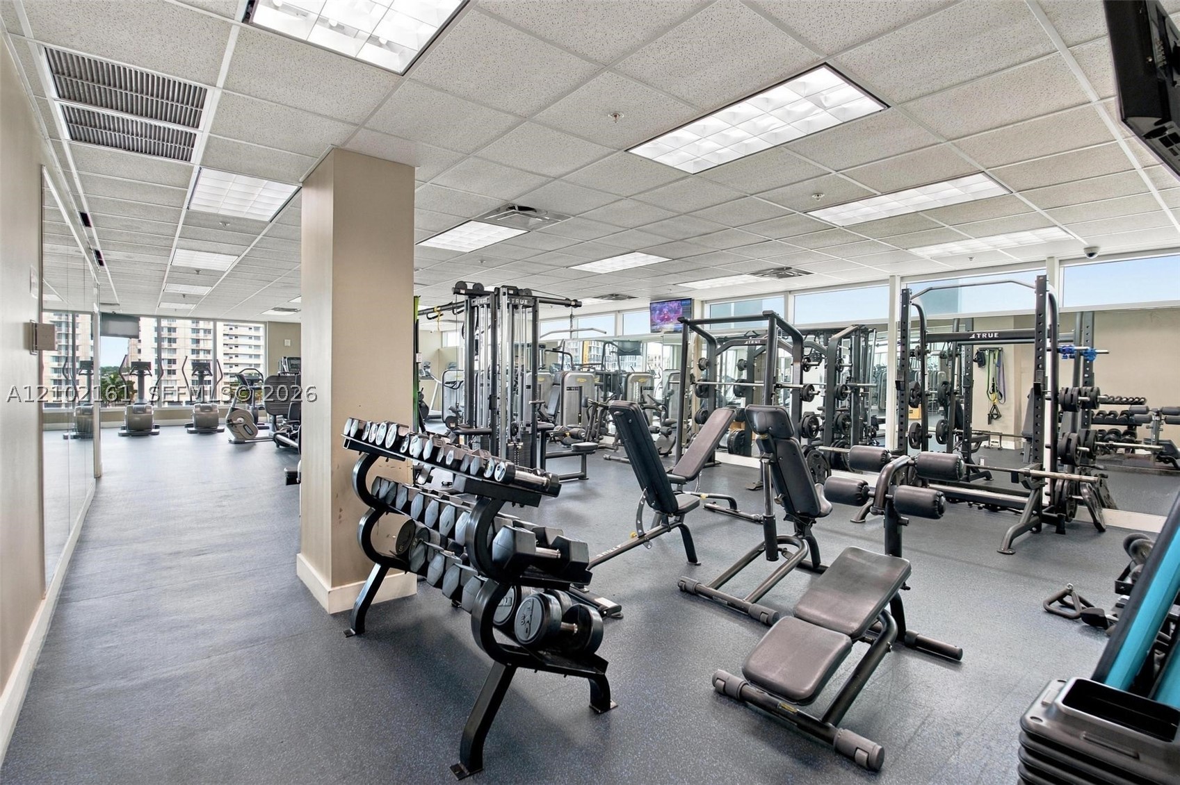 image Eloquence on the Bay23