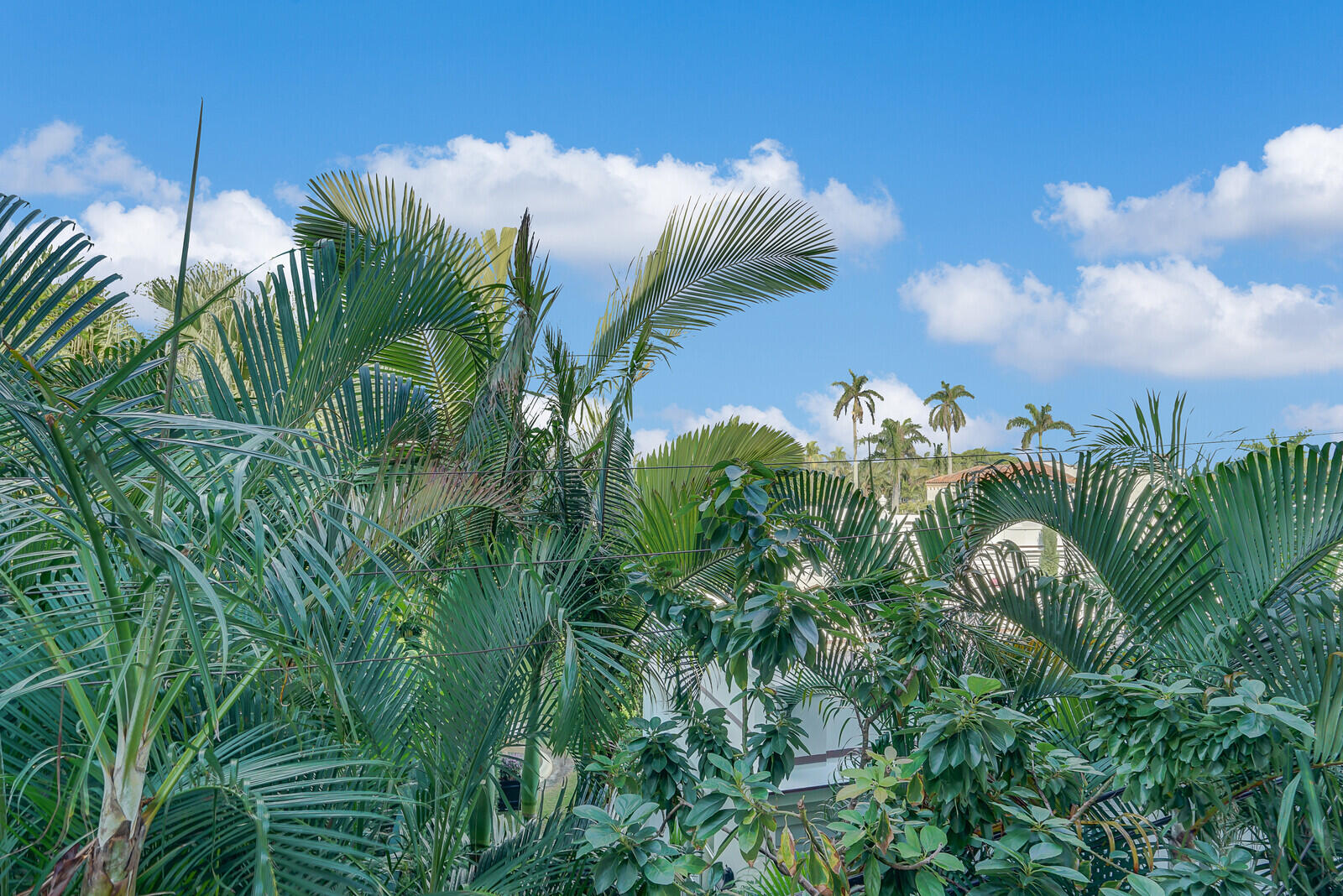 223 Atlantic Ave #3f Palm Beach, FL 33480