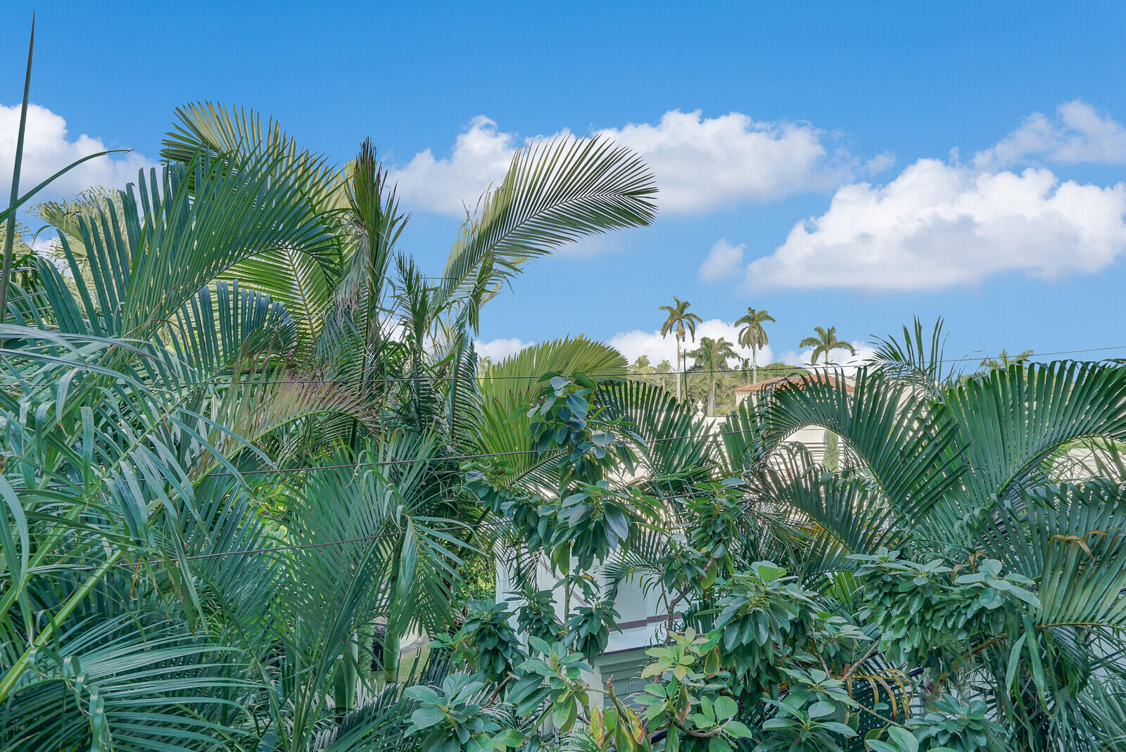 223 Atlantic Ave #3f Palm Beach, FL 33480