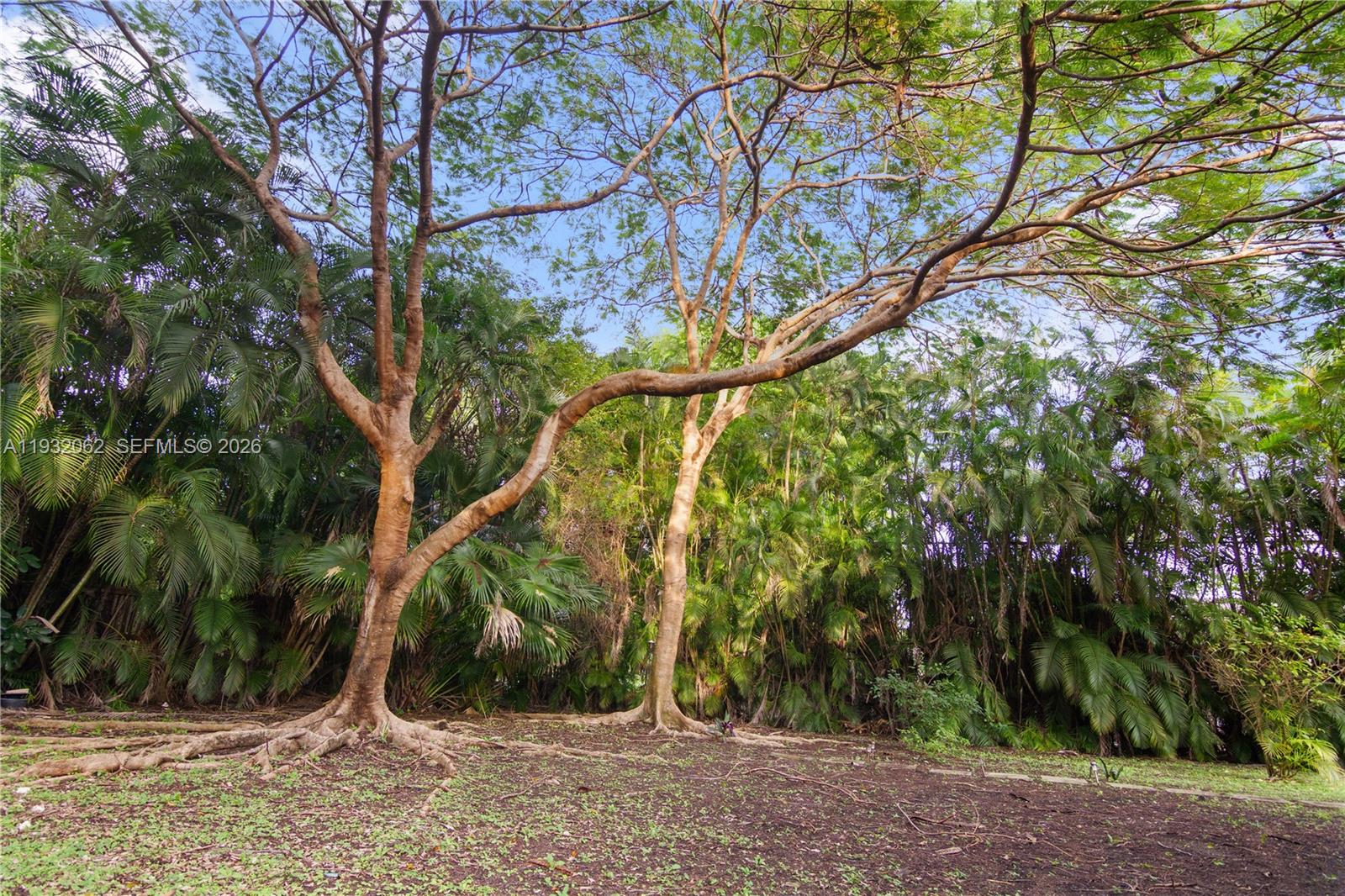 11825 S Mitchell Manor Cir Pinecrest, FL 33156