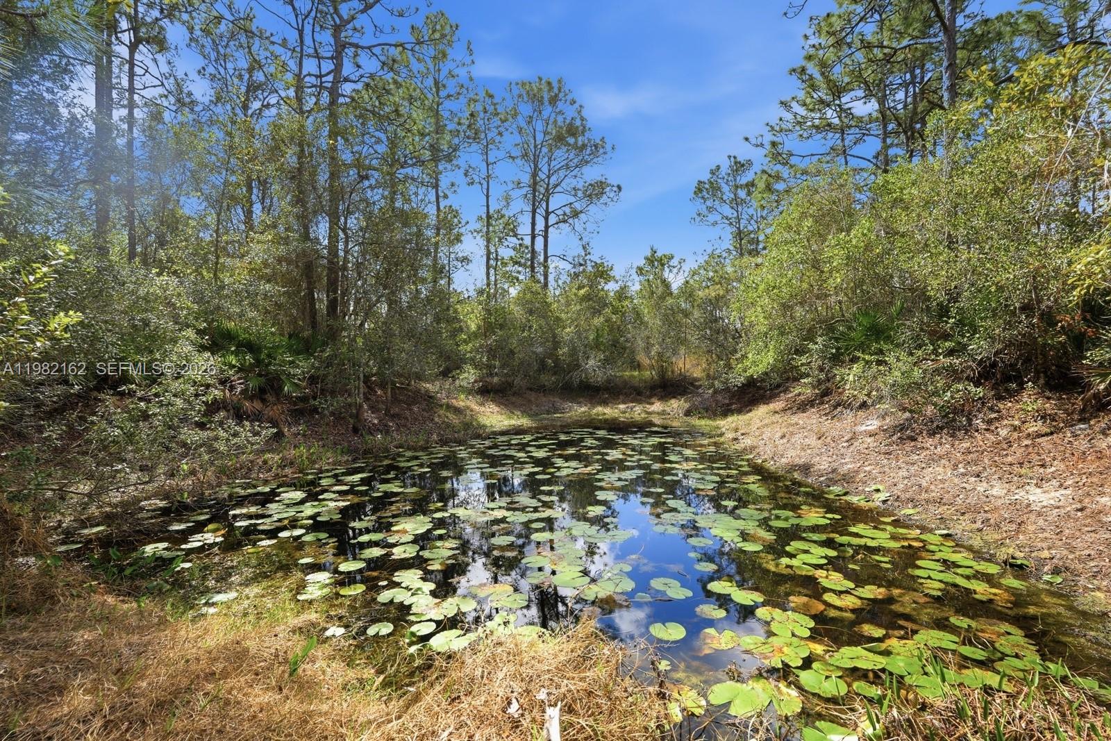 158 Cone Rd Ormond Beach, FL 32174