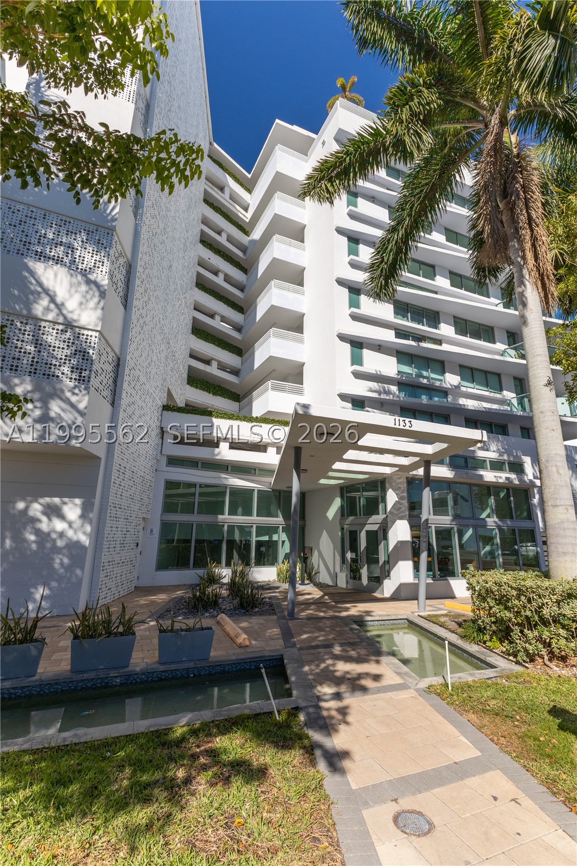 image The Palms1