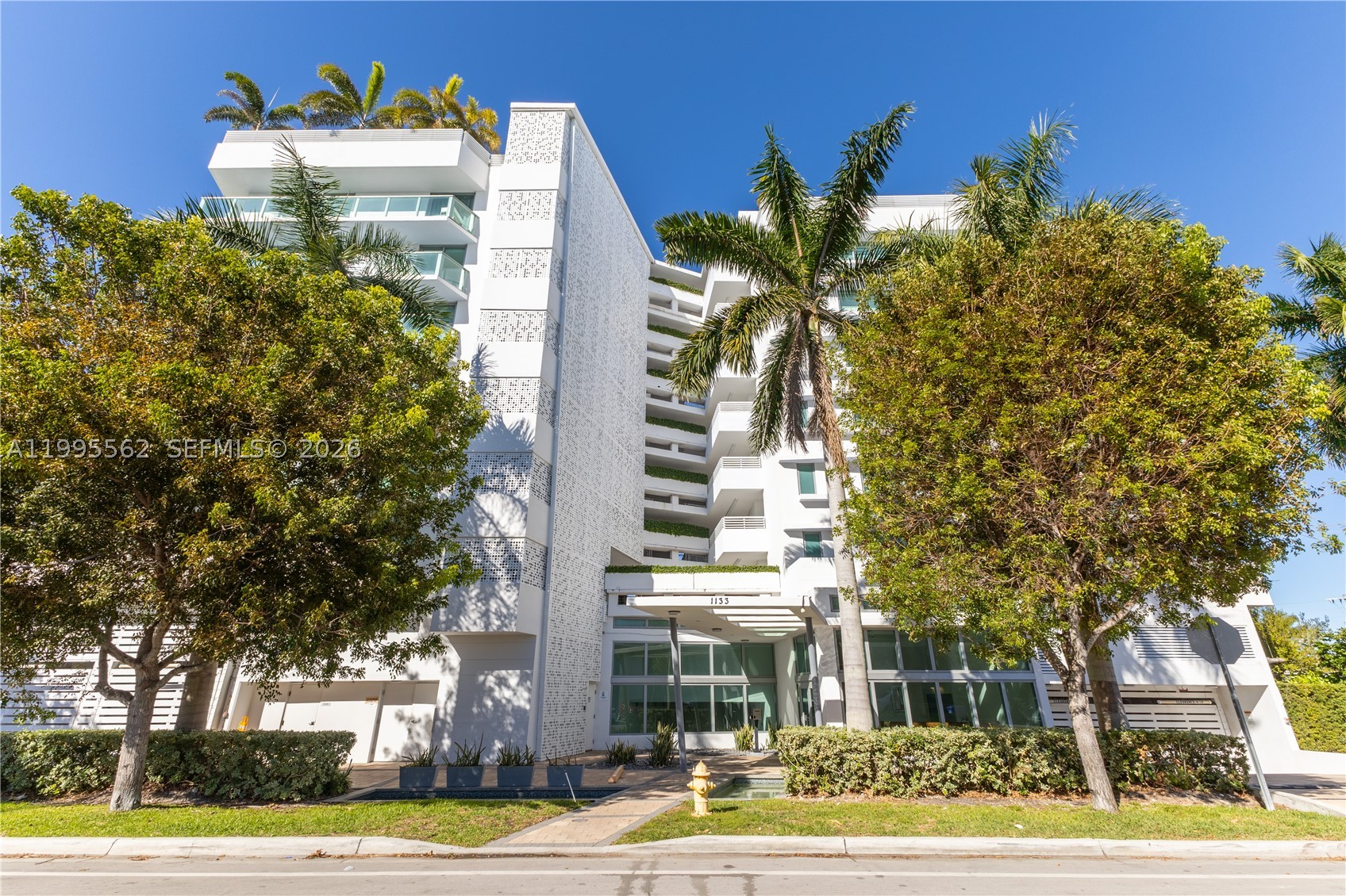 image The Palms27