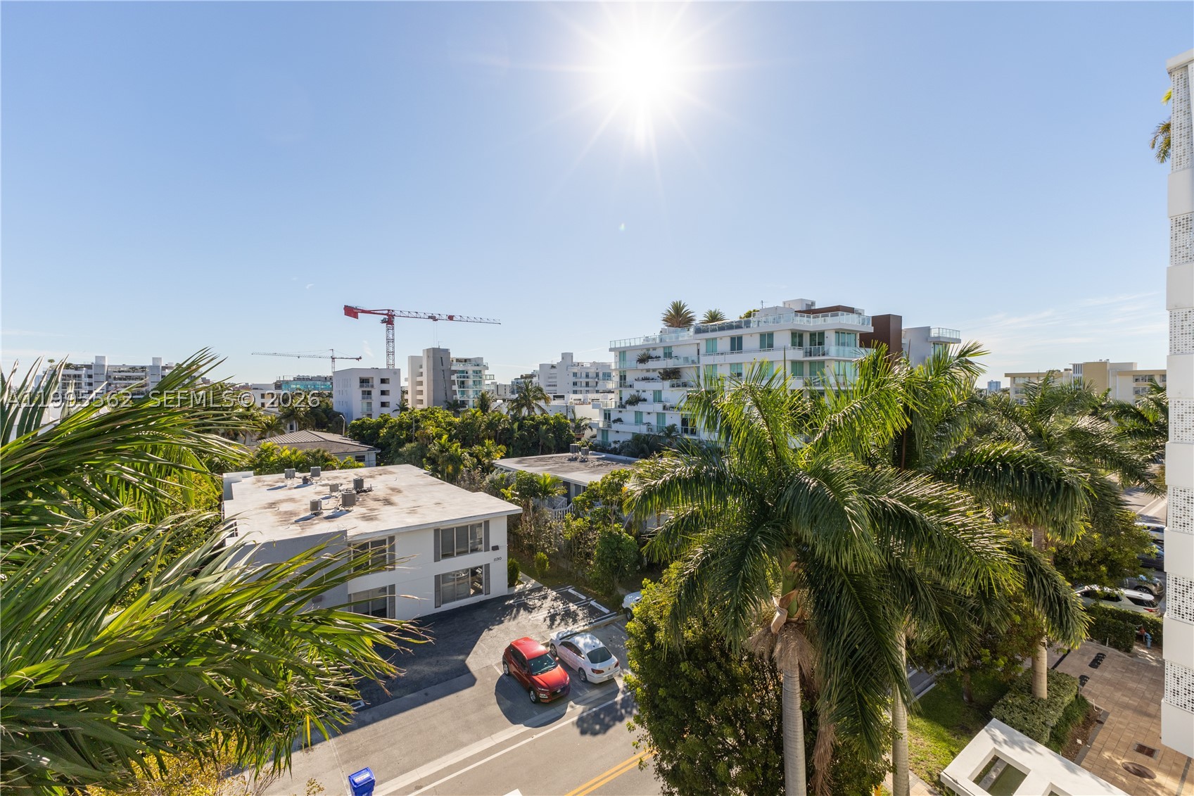image The Palms28