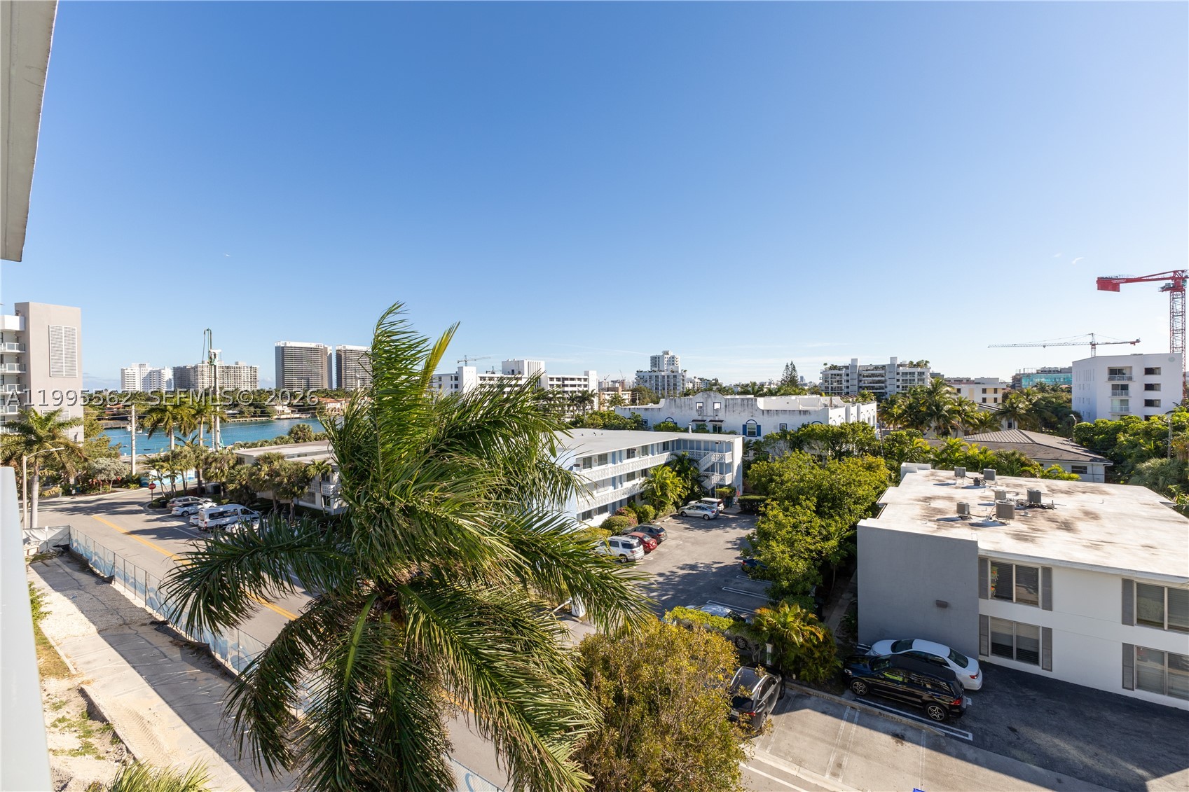 image The Palms35