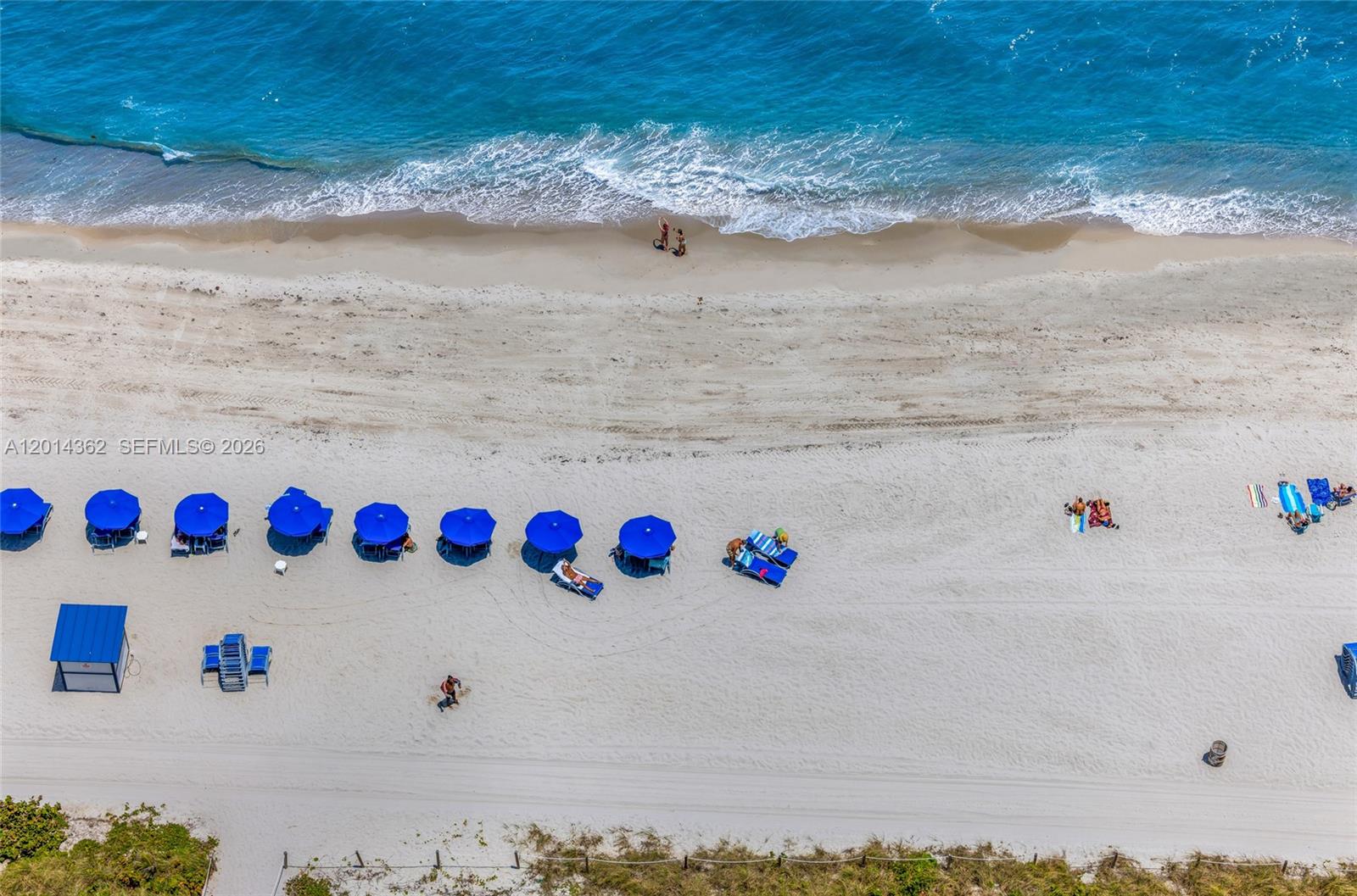 6365 Collins Ave #3202 Miami Beach, FL 33141