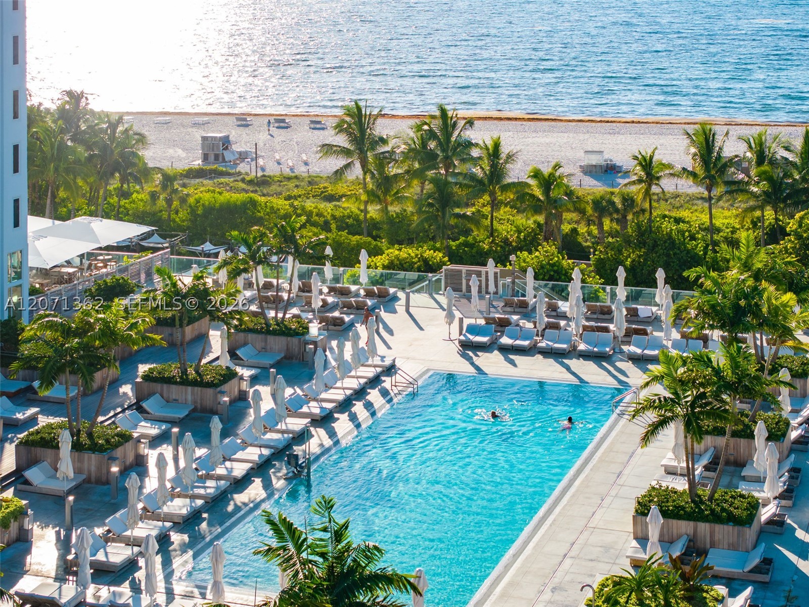 image Roney Palace21