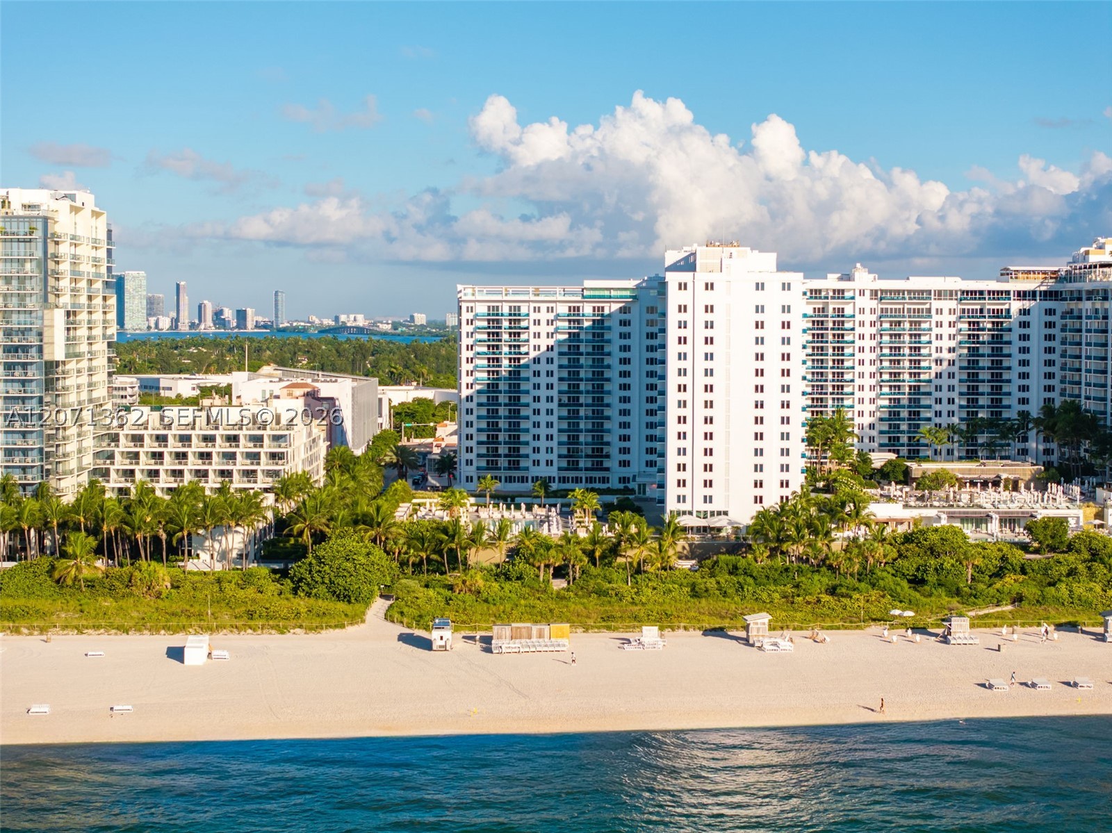 image Roney Palace24