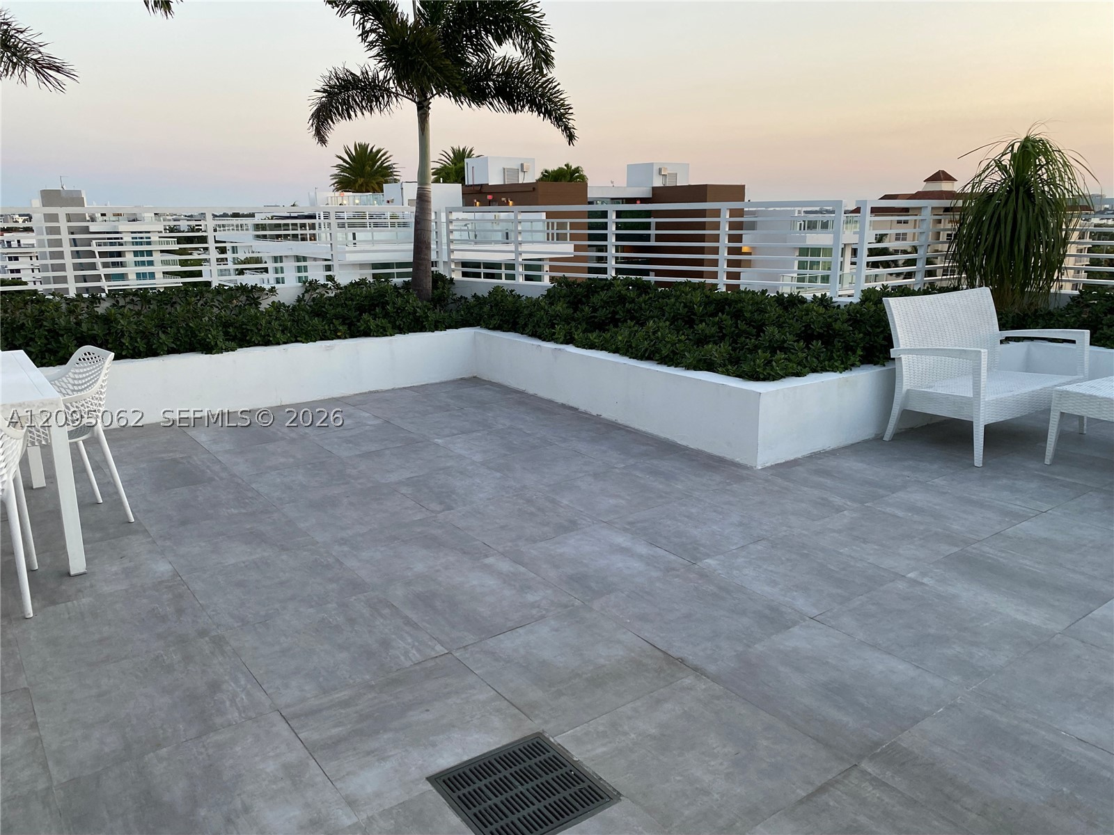 image The Palms47