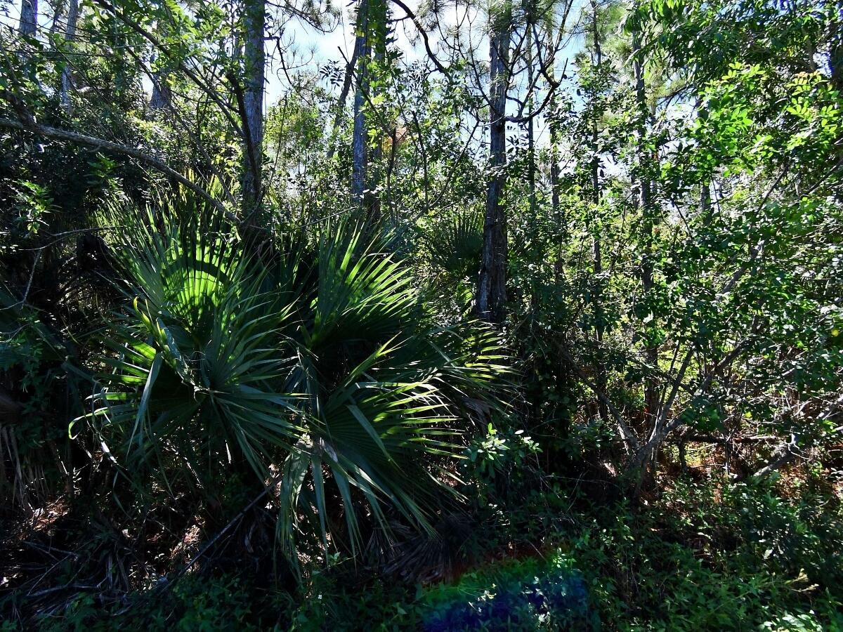 Macquillen Rd