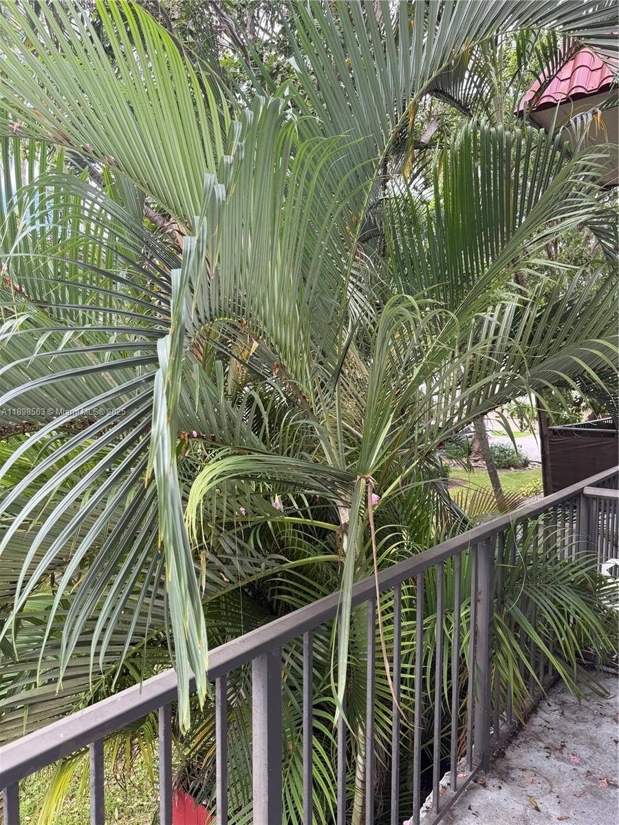 6705 N Kendall Dr #314 Pinecrest, FL 33156