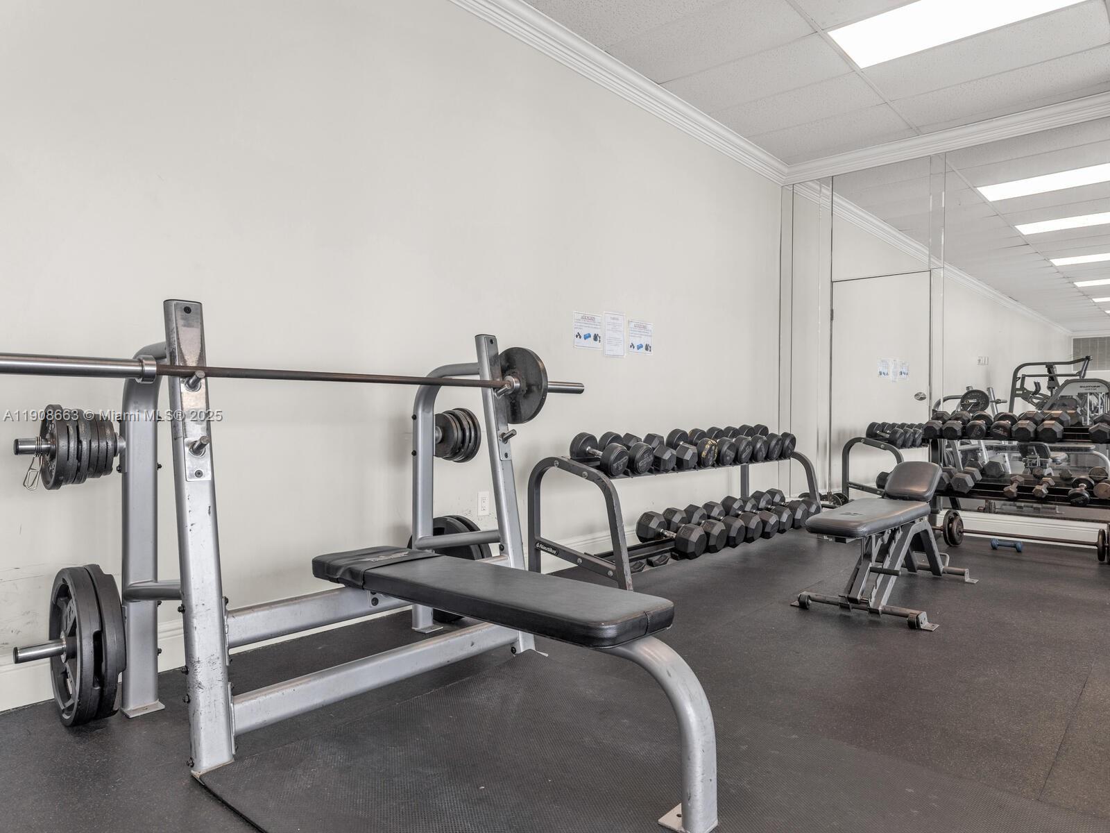 7135 Collins Ave #523 Miami Beach, FL 33141